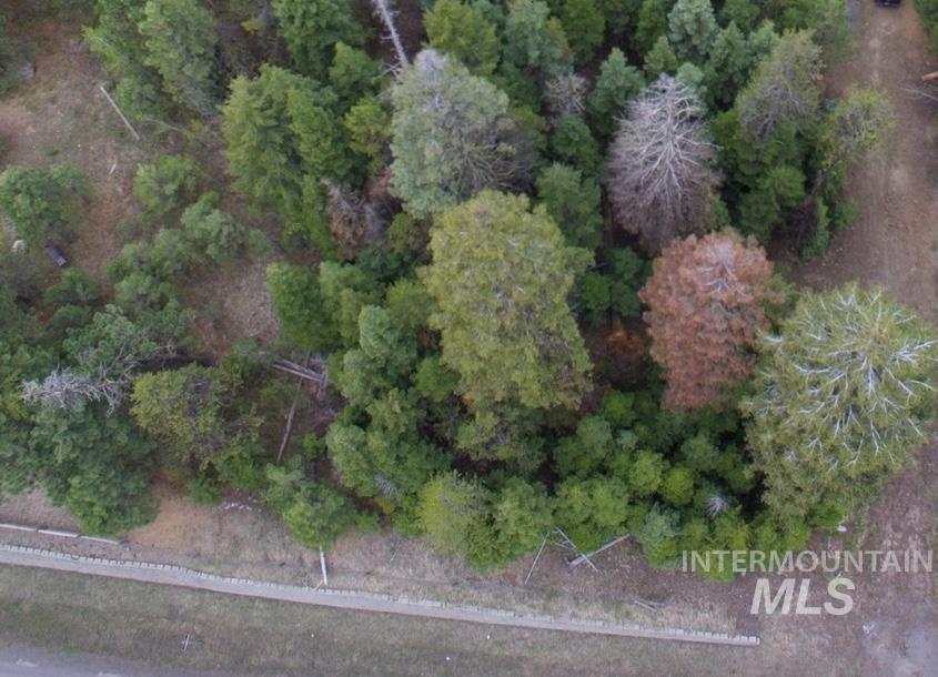 TBD Boydstun St, McCall, Idaho 83638, Land For Sale, Price $205,000,MLS 98992521