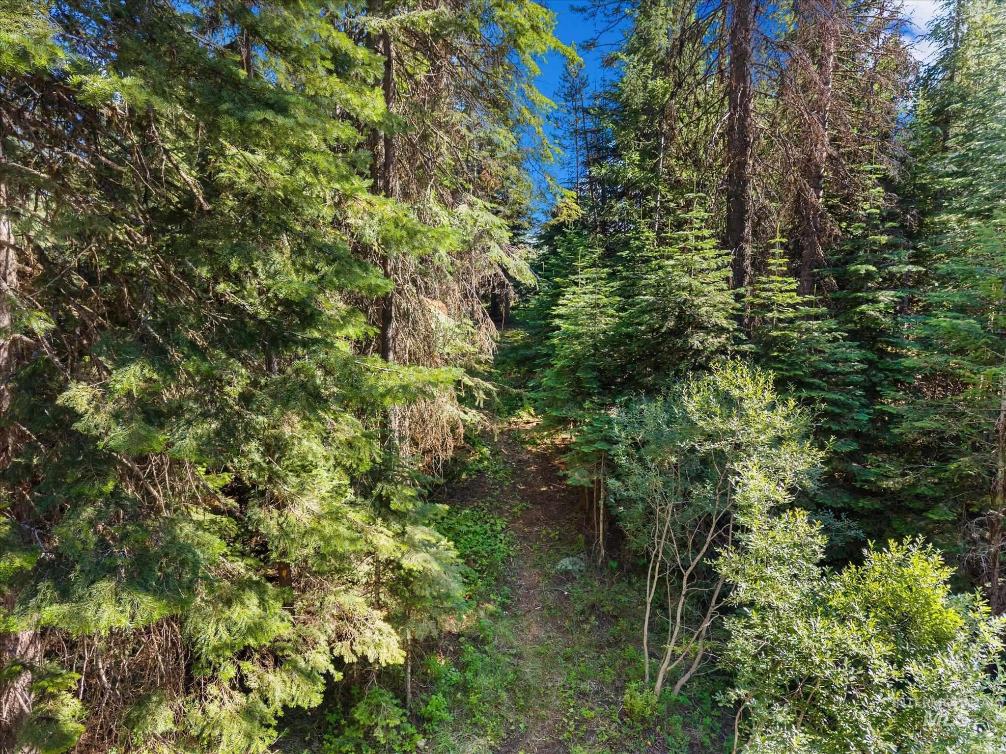 TBD Boydstun St, McCall, Idaho 83638, Land For Sale, Price $205,000,MLS 98992521