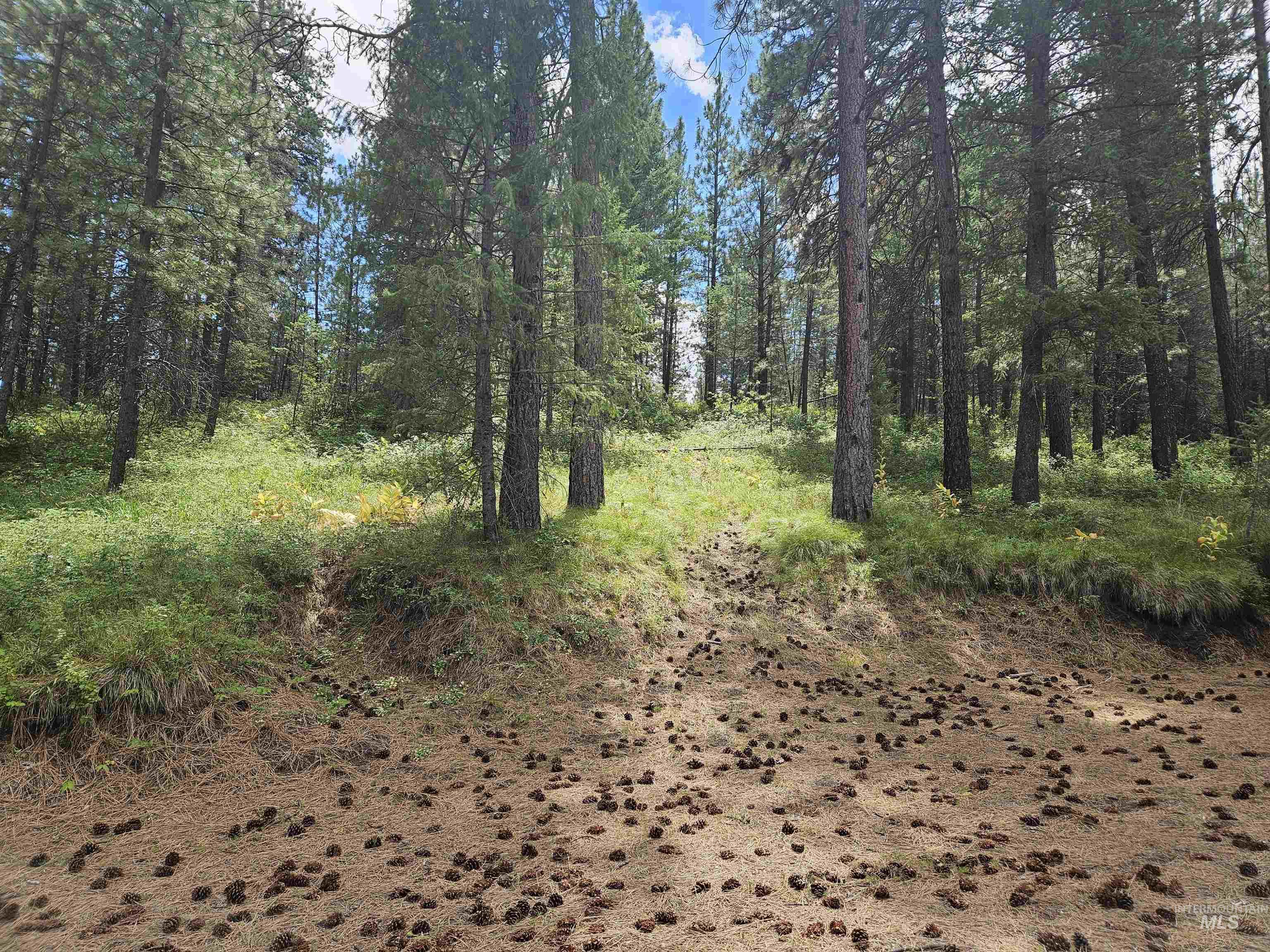 TBD Forest Circle, Boise, Idaho 83716, Land For Sale, Price $250,000, 98992603