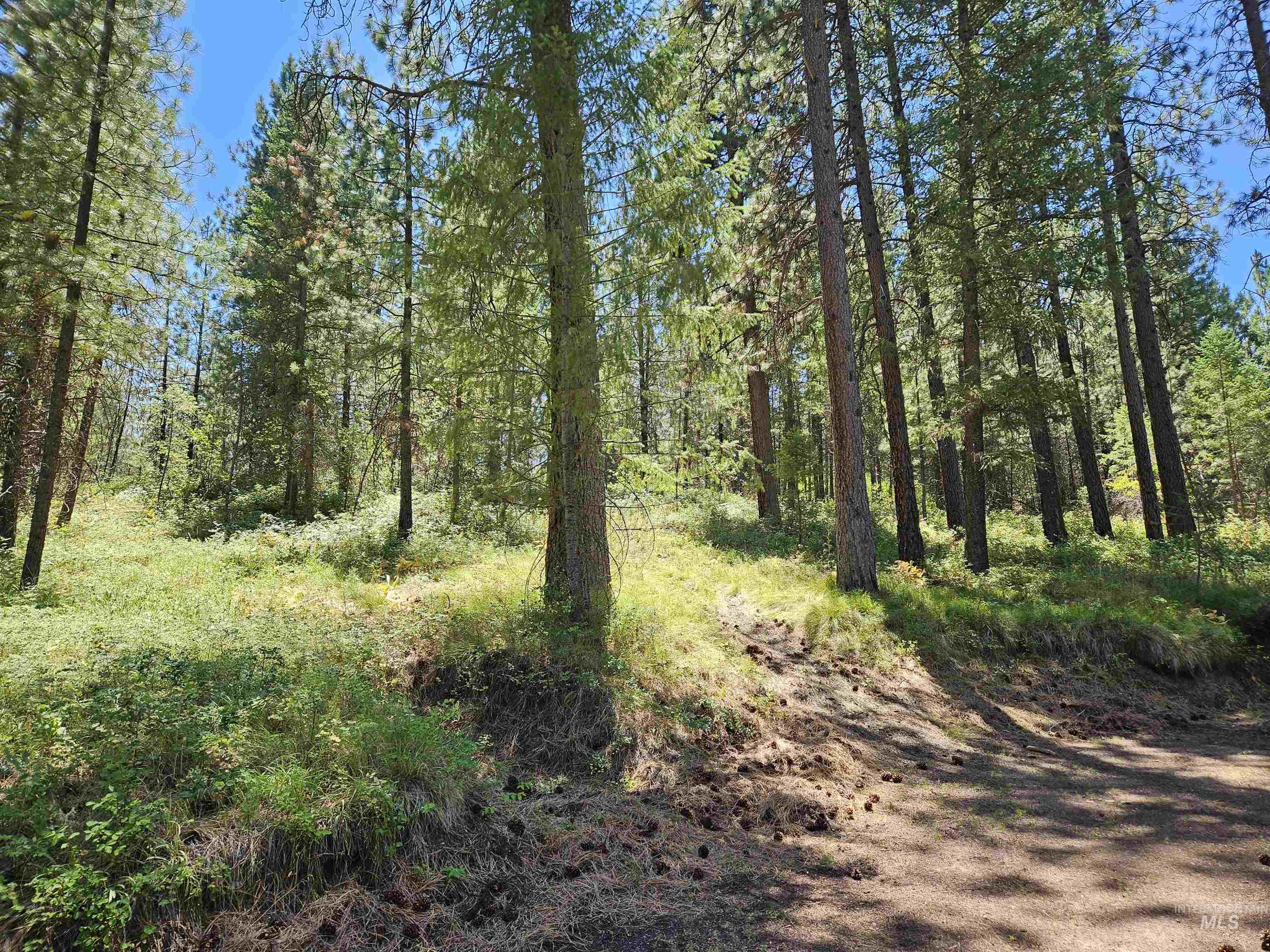 TBD Forest Circle, Boise, Idaho 83716, Land For Sale, Price $250,000,MLS 98992603