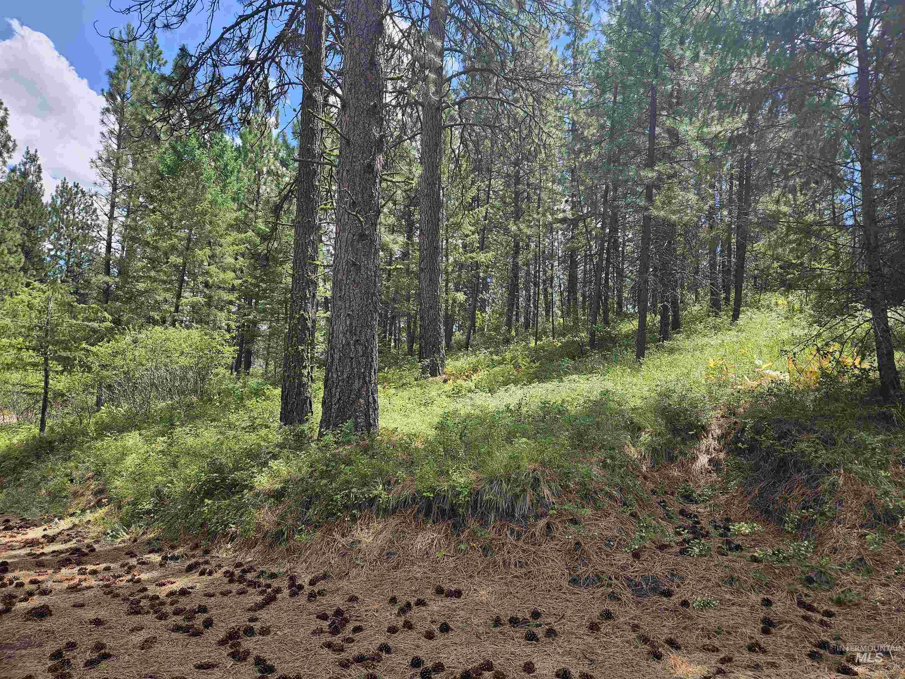TBD Forest Circle, Boise, Idaho 83716, Land For Sale, Price $250,000, 98992603