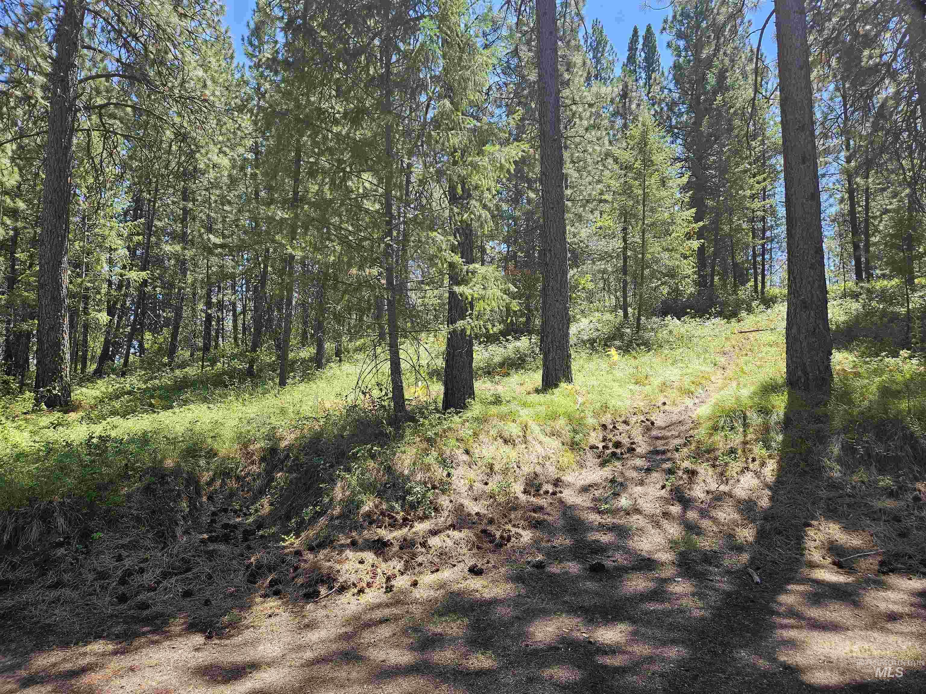 TBD Forest Circle, Boise, Idaho 83716, Land For Sale, Price $250,000,MLS 98992603