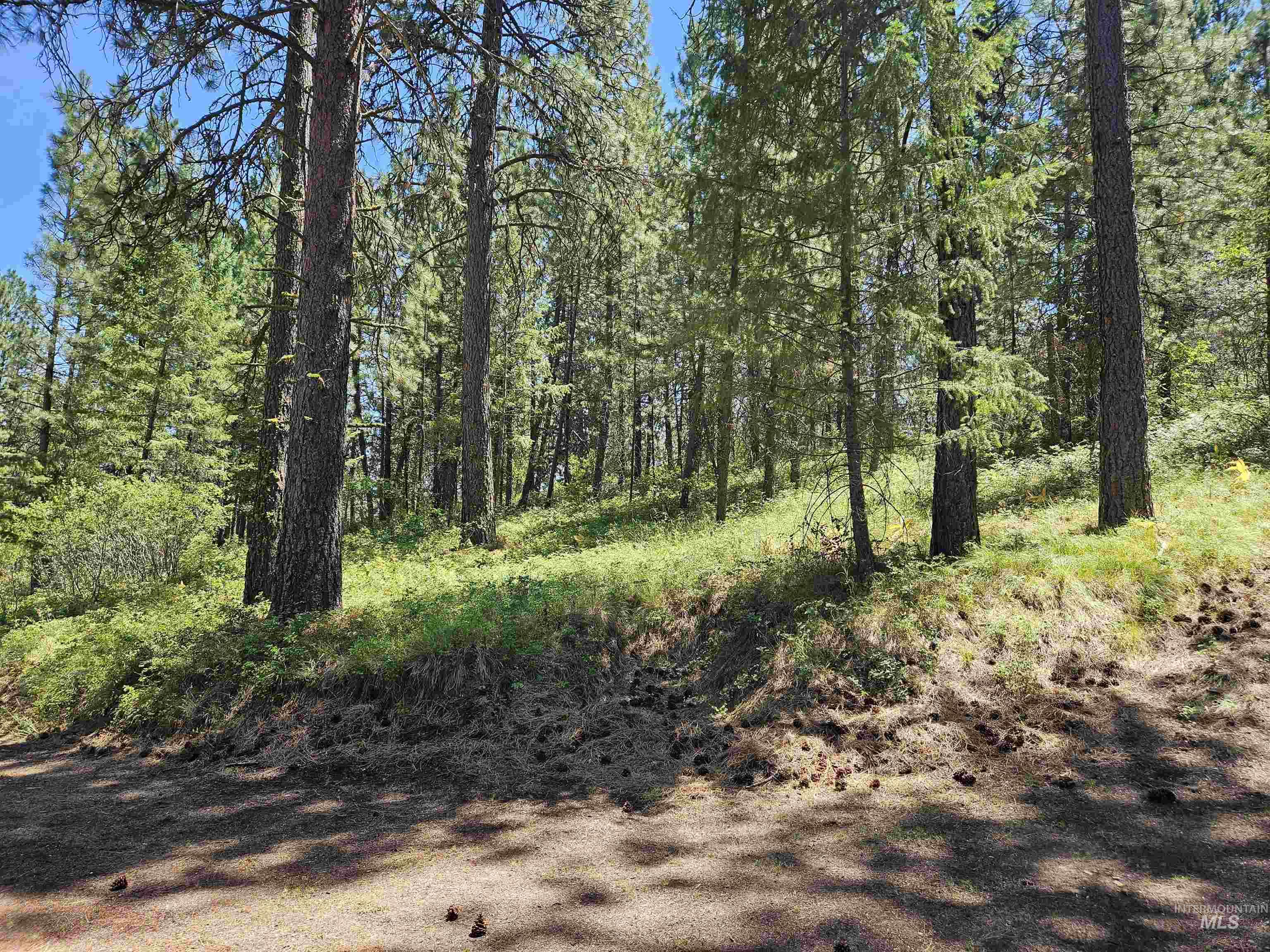 TBD Forest Circle, Boise, Idaho 83716, Land For Sale, Price $250,000,MLS 98992603