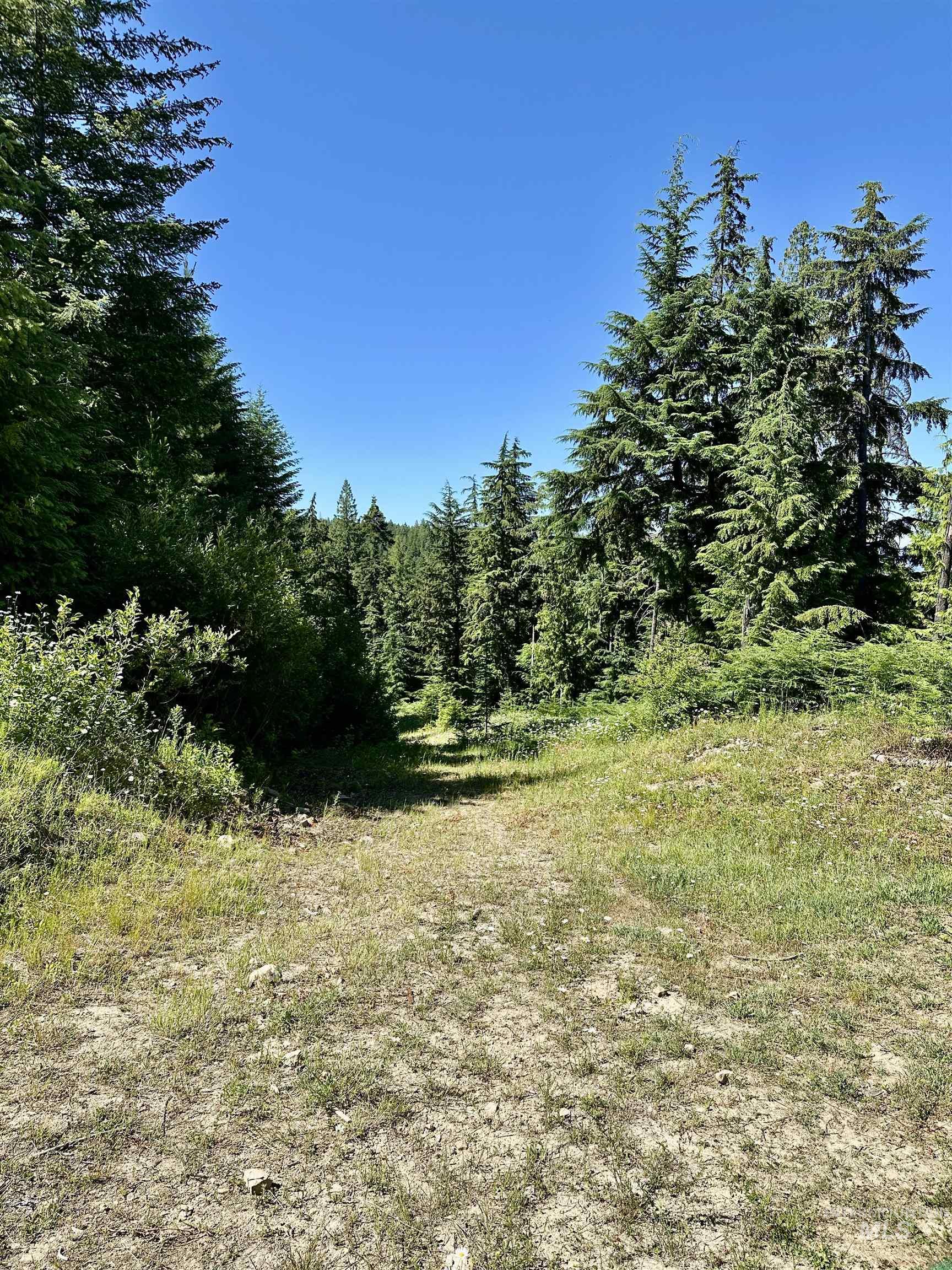 1522 N Alpine, Fernwood, Idaho 83830, Land For Sale, Price $145,500, 98992642