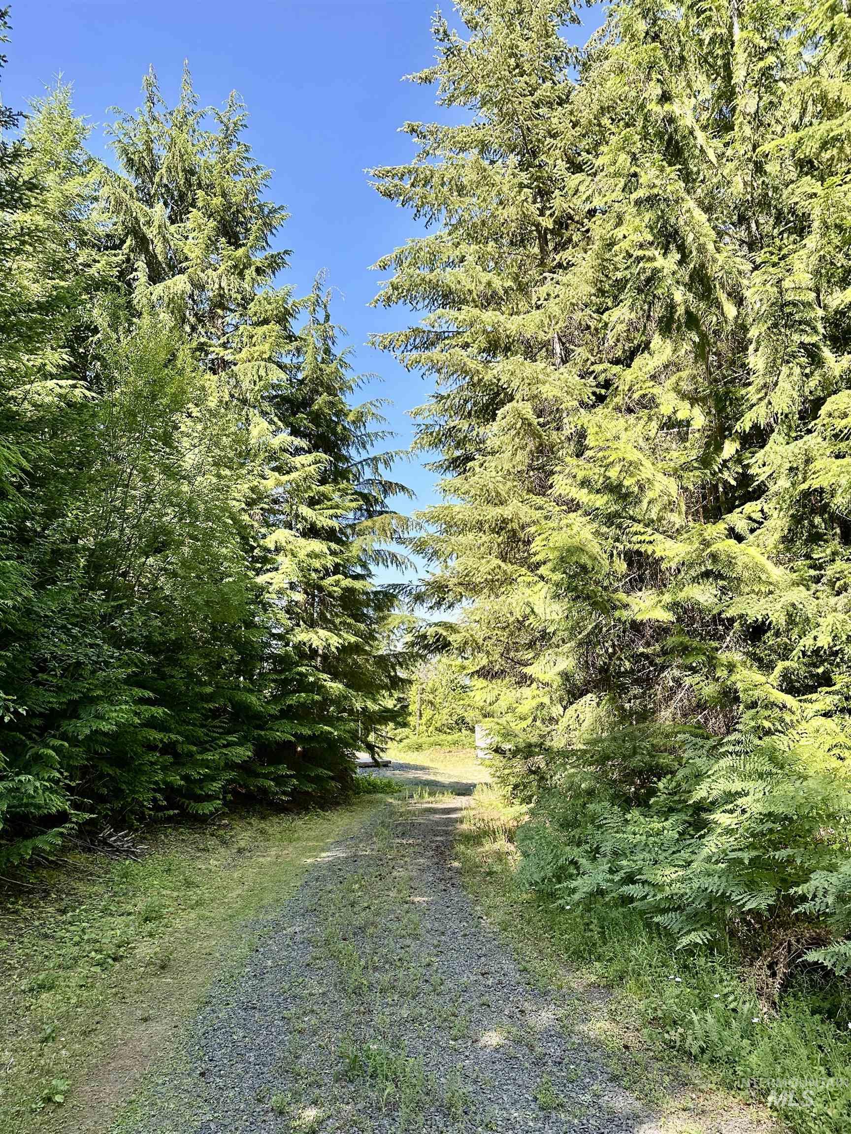 1522 N Alpine, Fernwood, Idaho 83830, Land For Sale, Price $145,500, 98992642