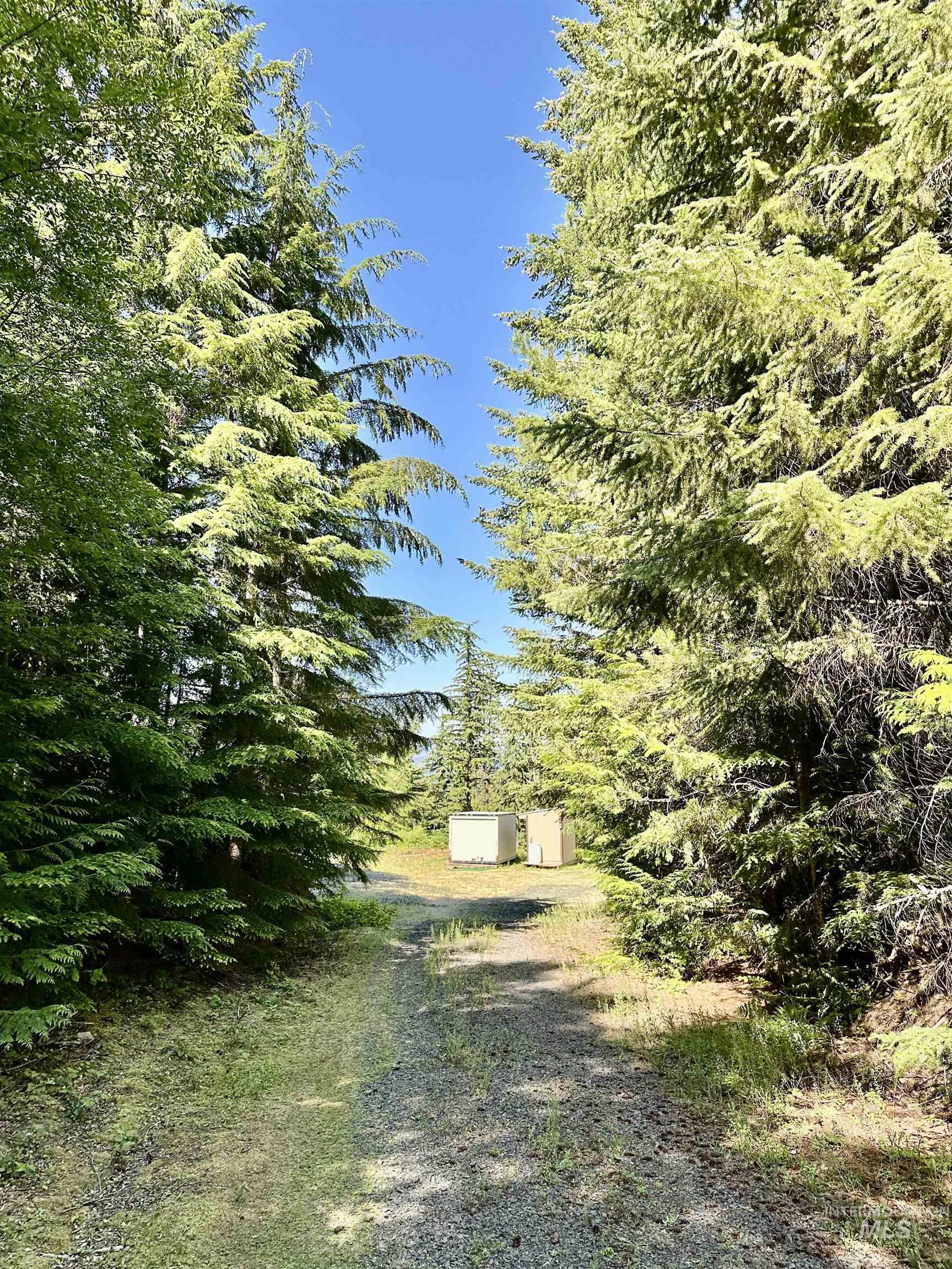 1522 N Alpine, Fernwood, Idaho 83830, Land For Sale, Price $145,500, 98992642