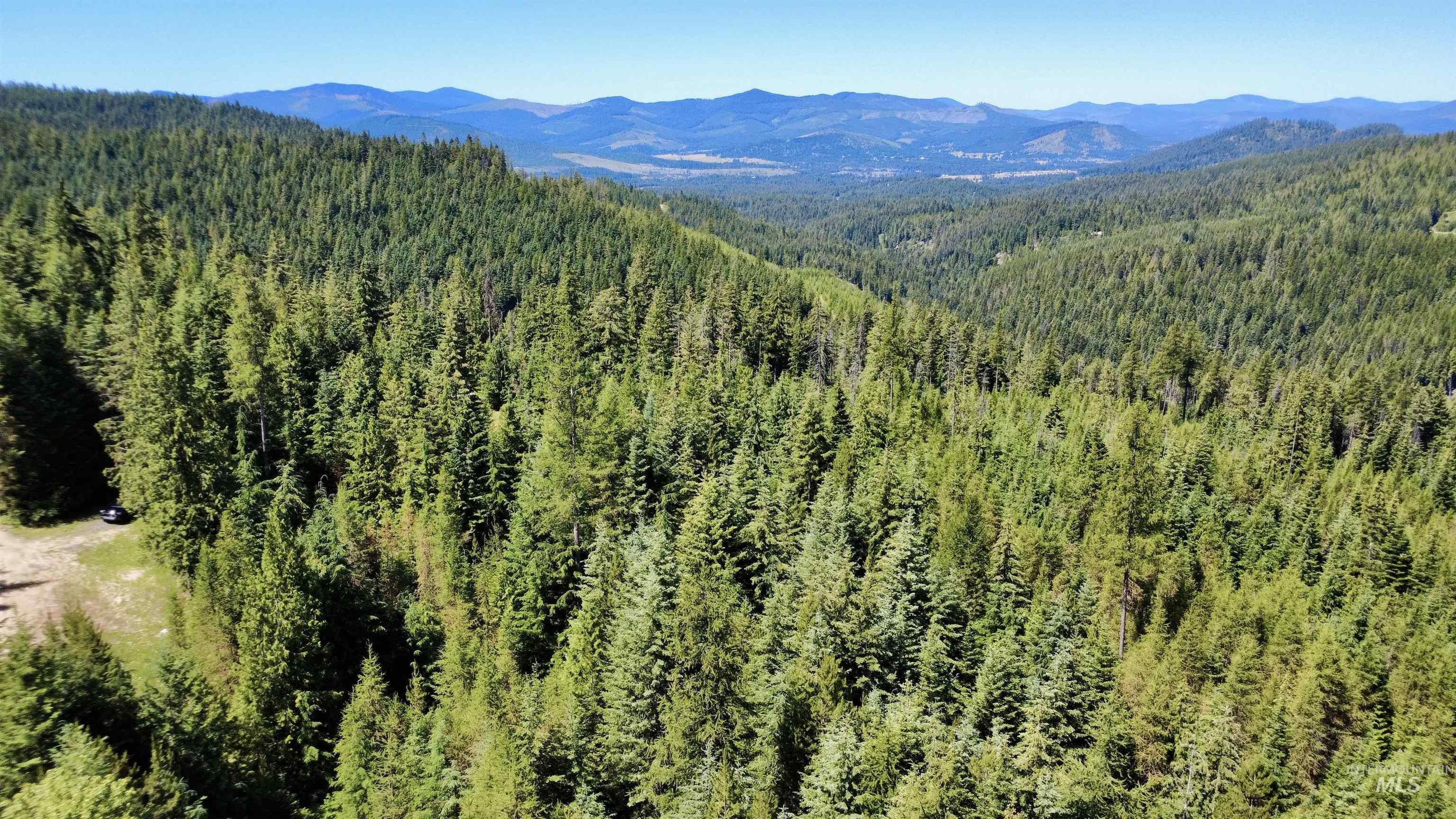 1522 N Alpine, Fernwood, Idaho 83830, Land For Sale, Price $145,500, 98992642