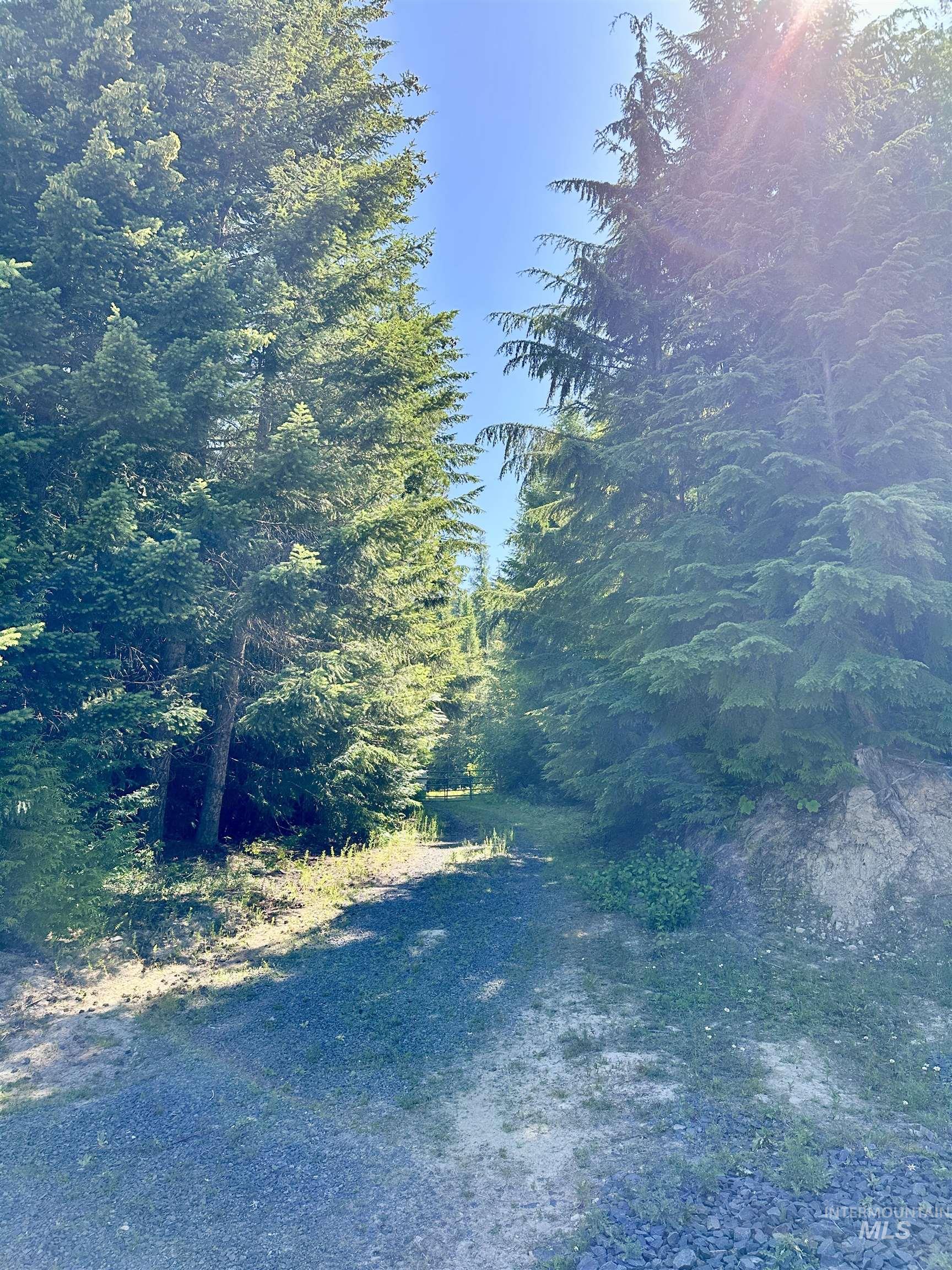 1522 N Alpine, Fernwood, Idaho 83830, Land For Sale, Price $145,500, 98992642