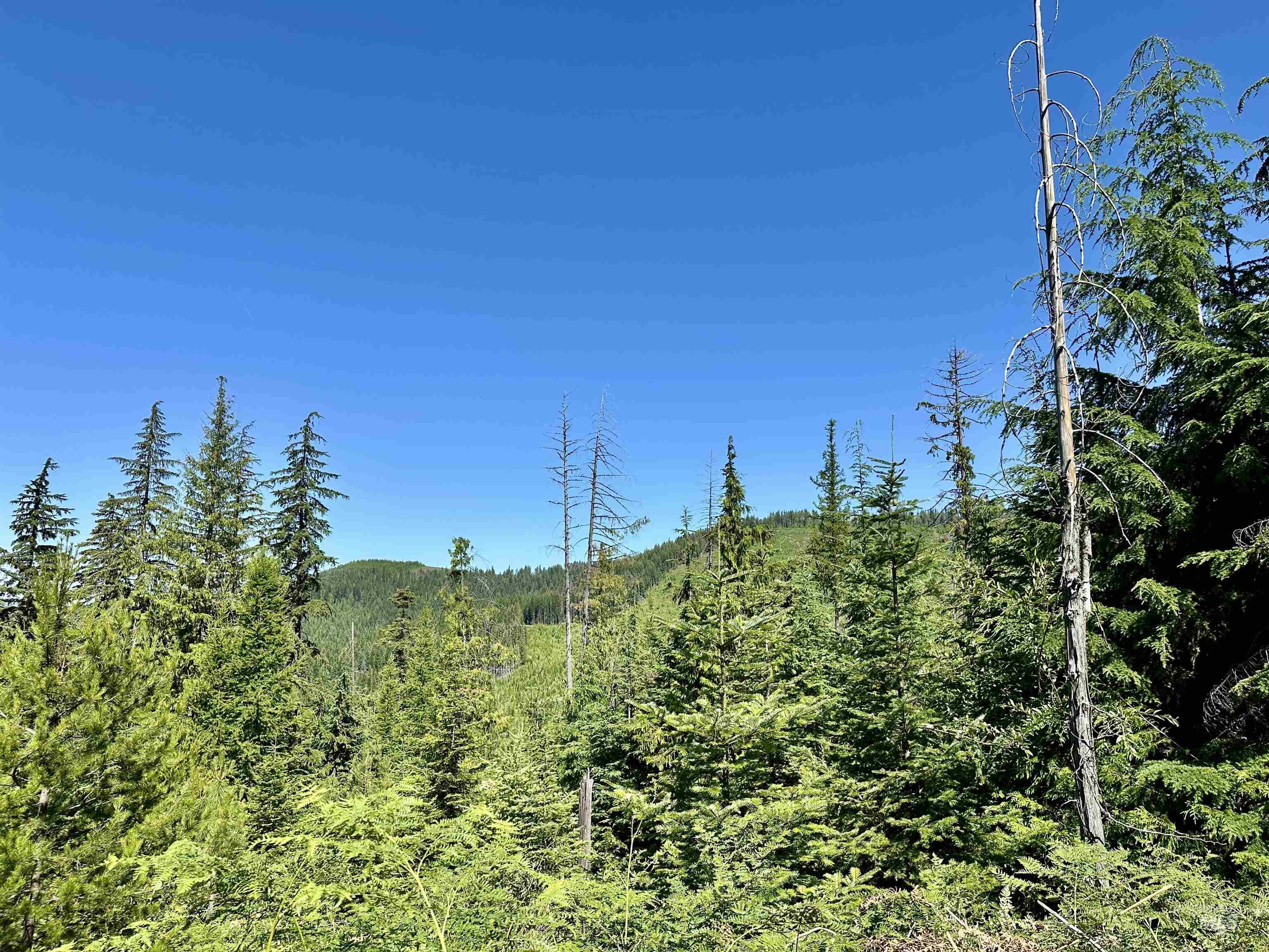 1494 & 1432 N Alpine, Fernwood, Idaho 83830, Land For Sale, Price $124,400, 98992643