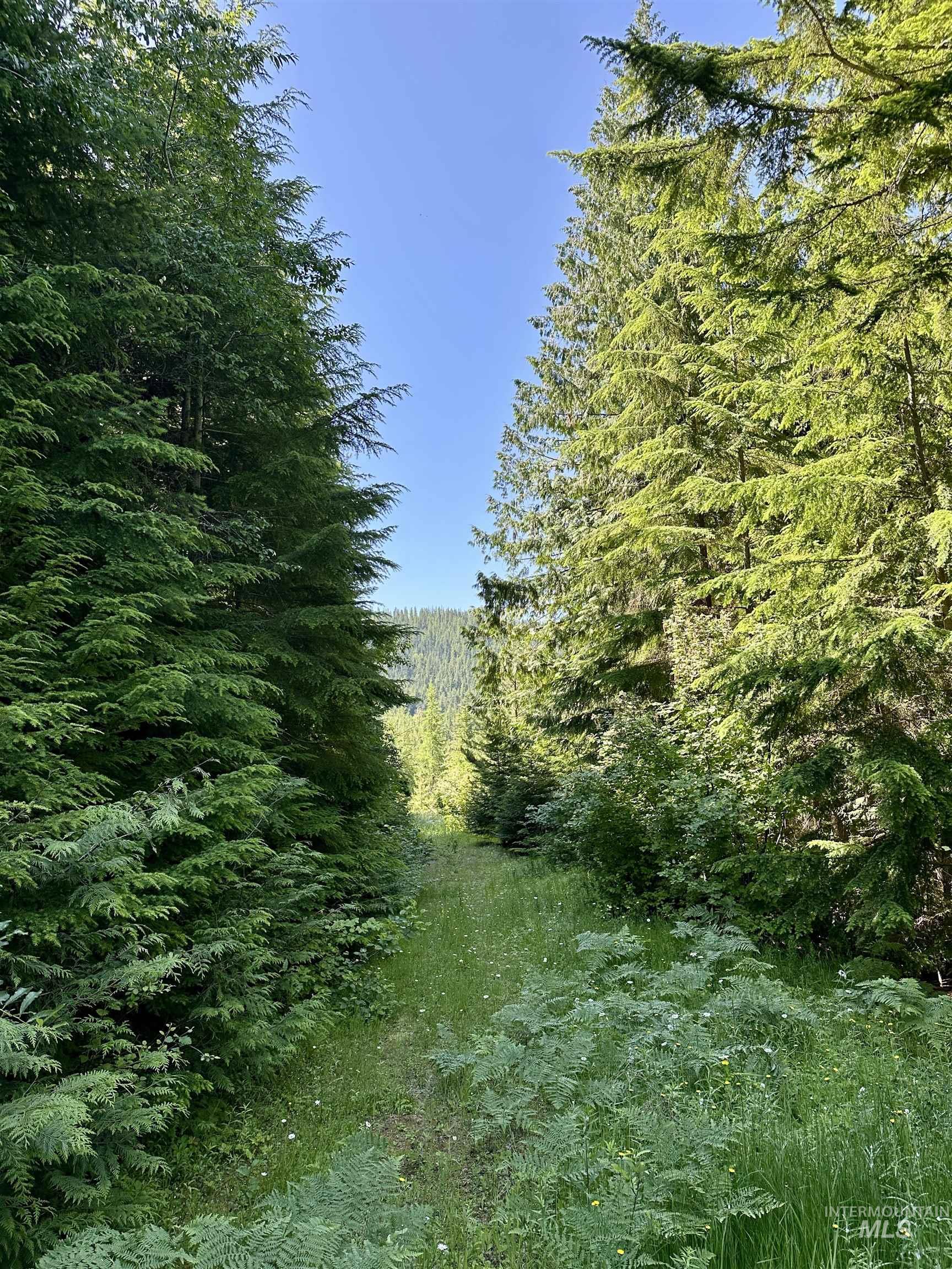 1494 & 1432 N Alpine, Fernwood, Idaho 83830, Land For Sale, Price $124,400, 98992643