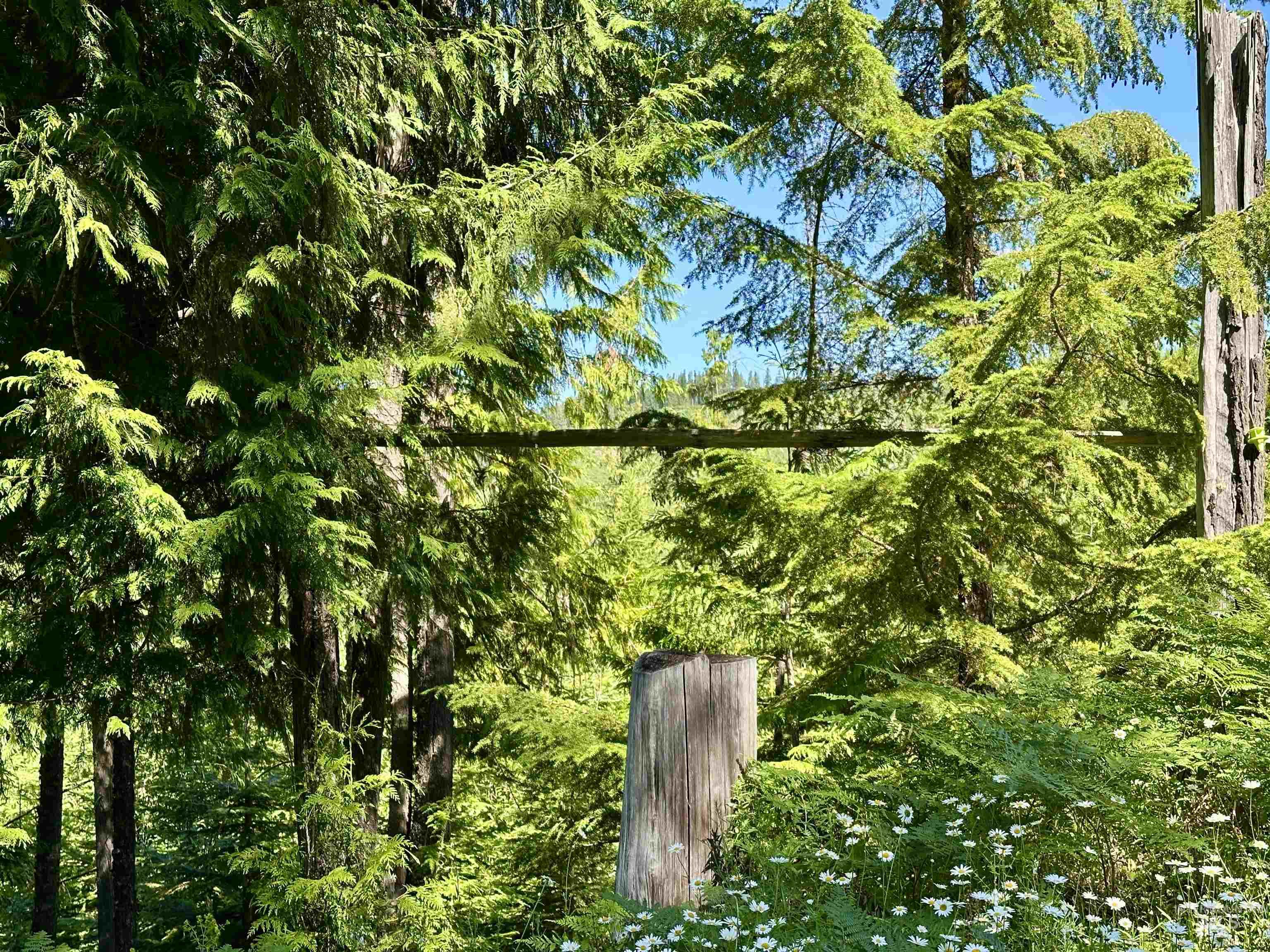1494 & 1432 N Alpine, Fernwood, Idaho 83830, Land For Sale, Price $124,400, 98992643