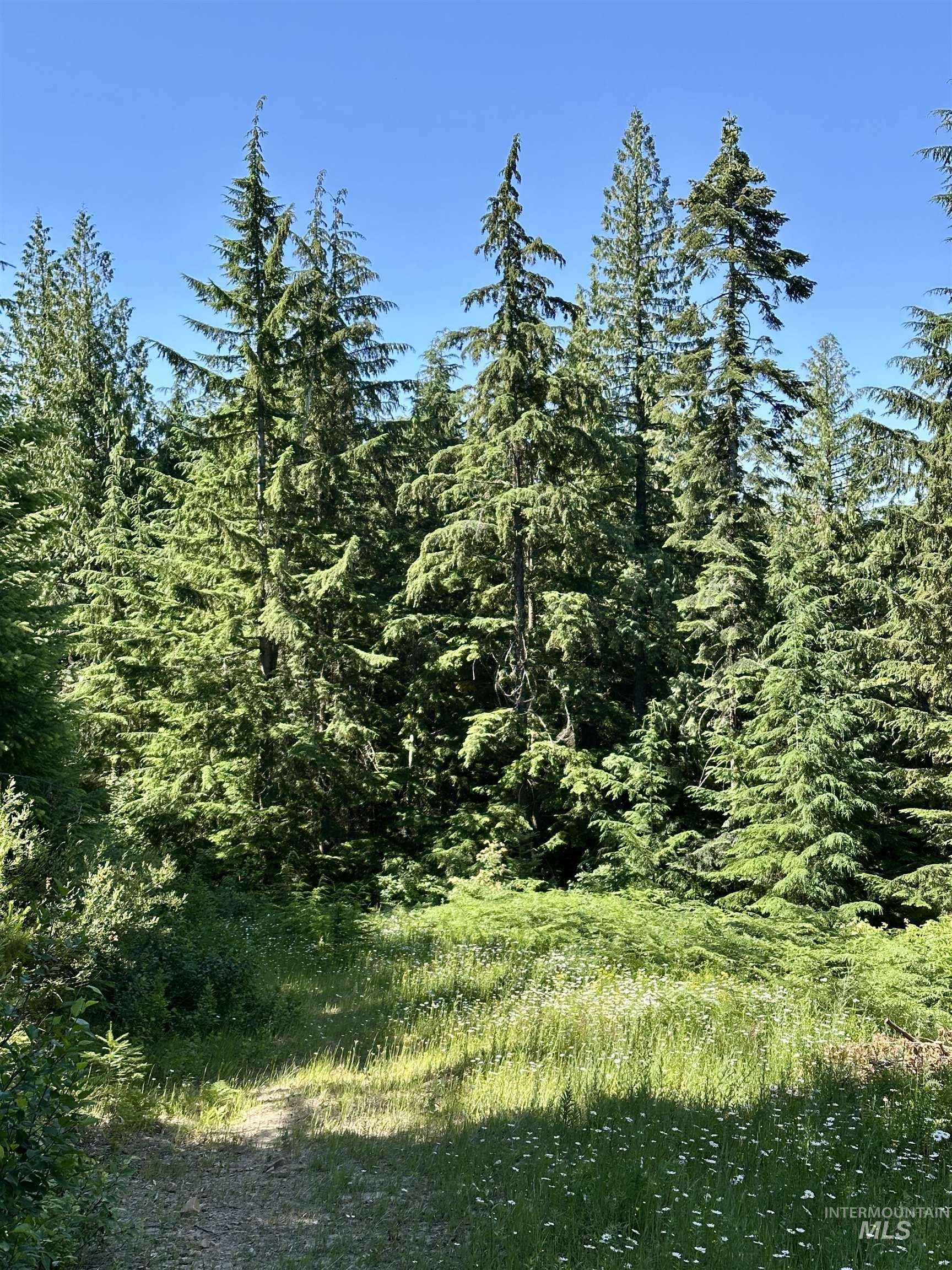 1494 & 1432 N Alpine, Fernwood, Idaho 83830, Land For Sale, Price $124,400, 98992643