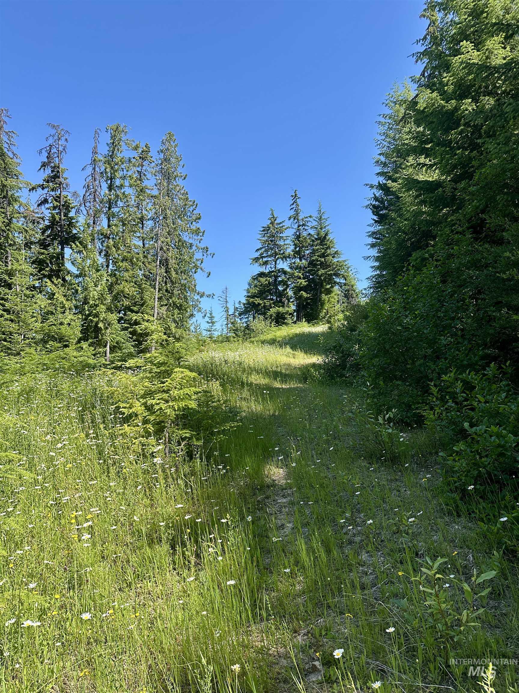 1494 & 1432 N Alpine, Fernwood, Idaho 83830, Land For Sale, Price $124,400, 98992643