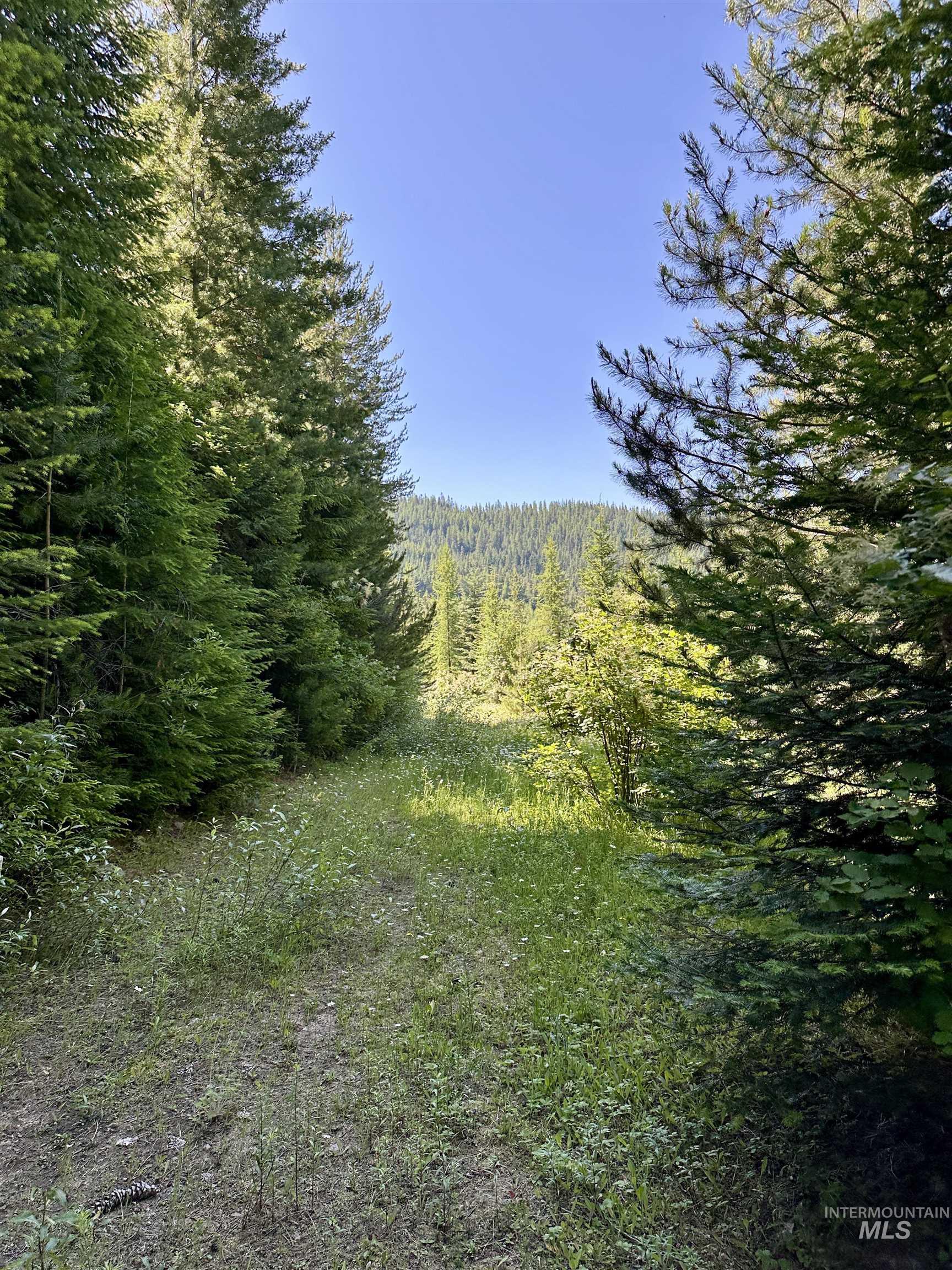 1494 & 1432 N Alpine, Fernwood, Idaho 83830, Land For Sale, Price $124,400, 98992643