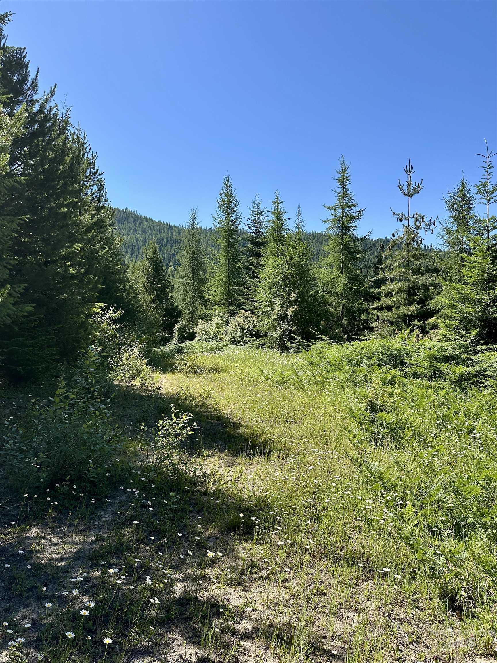 1494 & 1432 N Alpine, Fernwood, Idaho 83830, Land For Sale, Price $124,400, 98992643