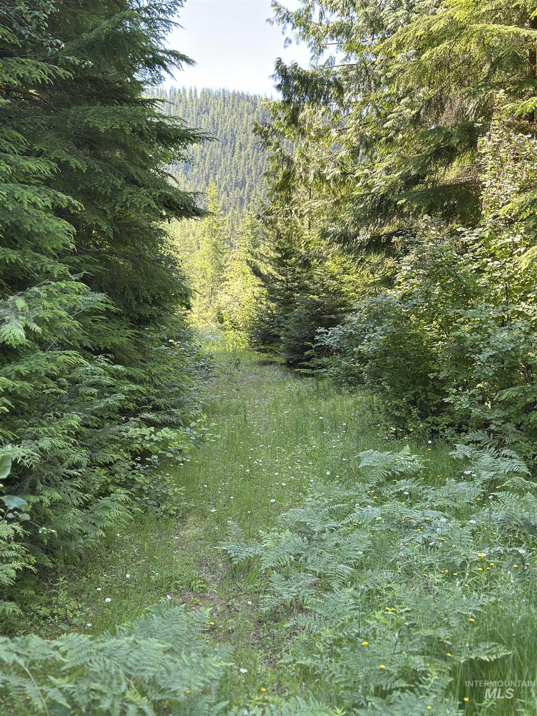 1494 & 1432 N Alpine, Fernwood, Idaho 83830, Land For Sale, Price $124,400, 98992643