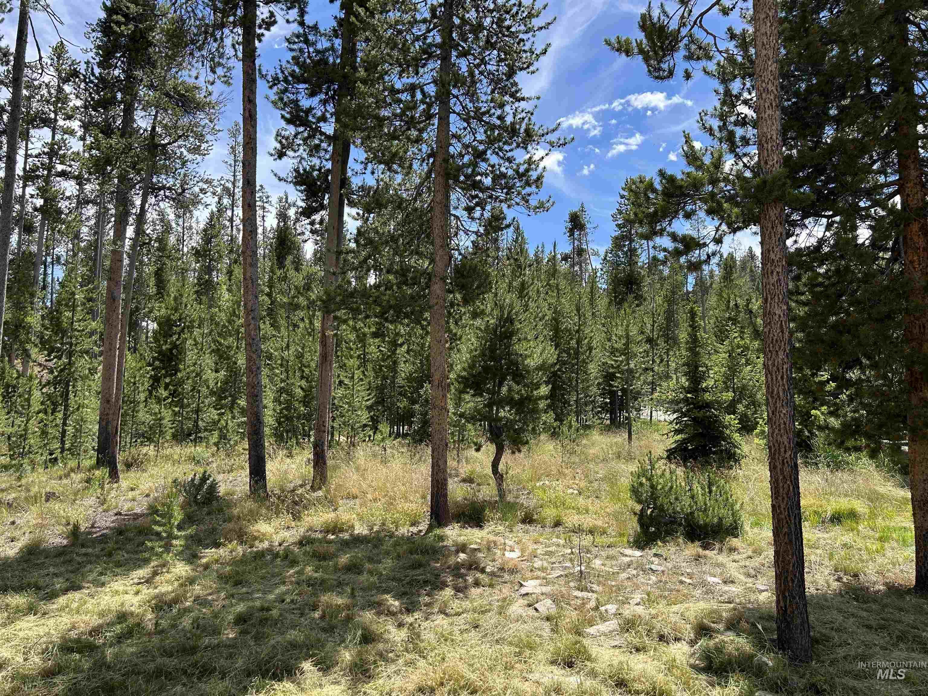 35 Sawtooth Way, Stanley, Idaho 83278, 1 Bedroom, 1 Bathroom, Residential For Sale, Price $925,000, 98992684