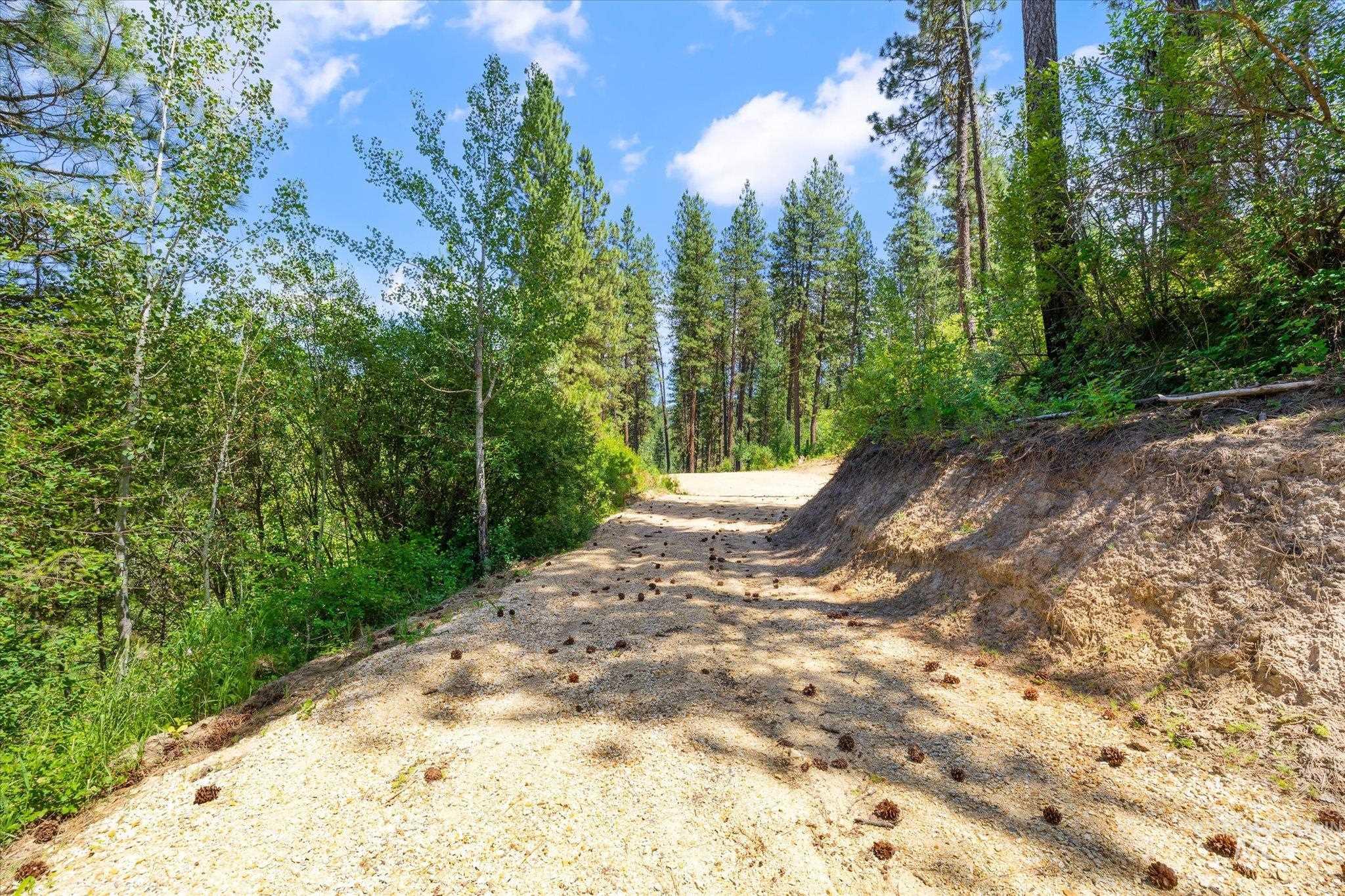 21 Beaver Creek Rd, Idaho City, Idaho 83716, Land For Sale, Price $164,900, 98992715
