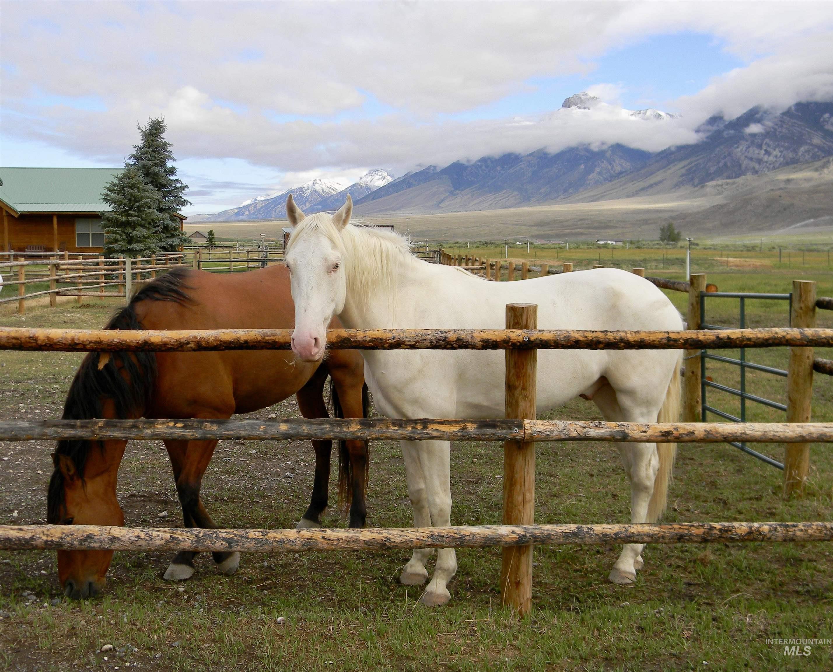 181 Crows Nest Loop, Mackay, Idaho 83251, 2 Bedrooms, 2 Bathrooms, Farm & Ranch For Sale, Price $1,595,000, 98992739