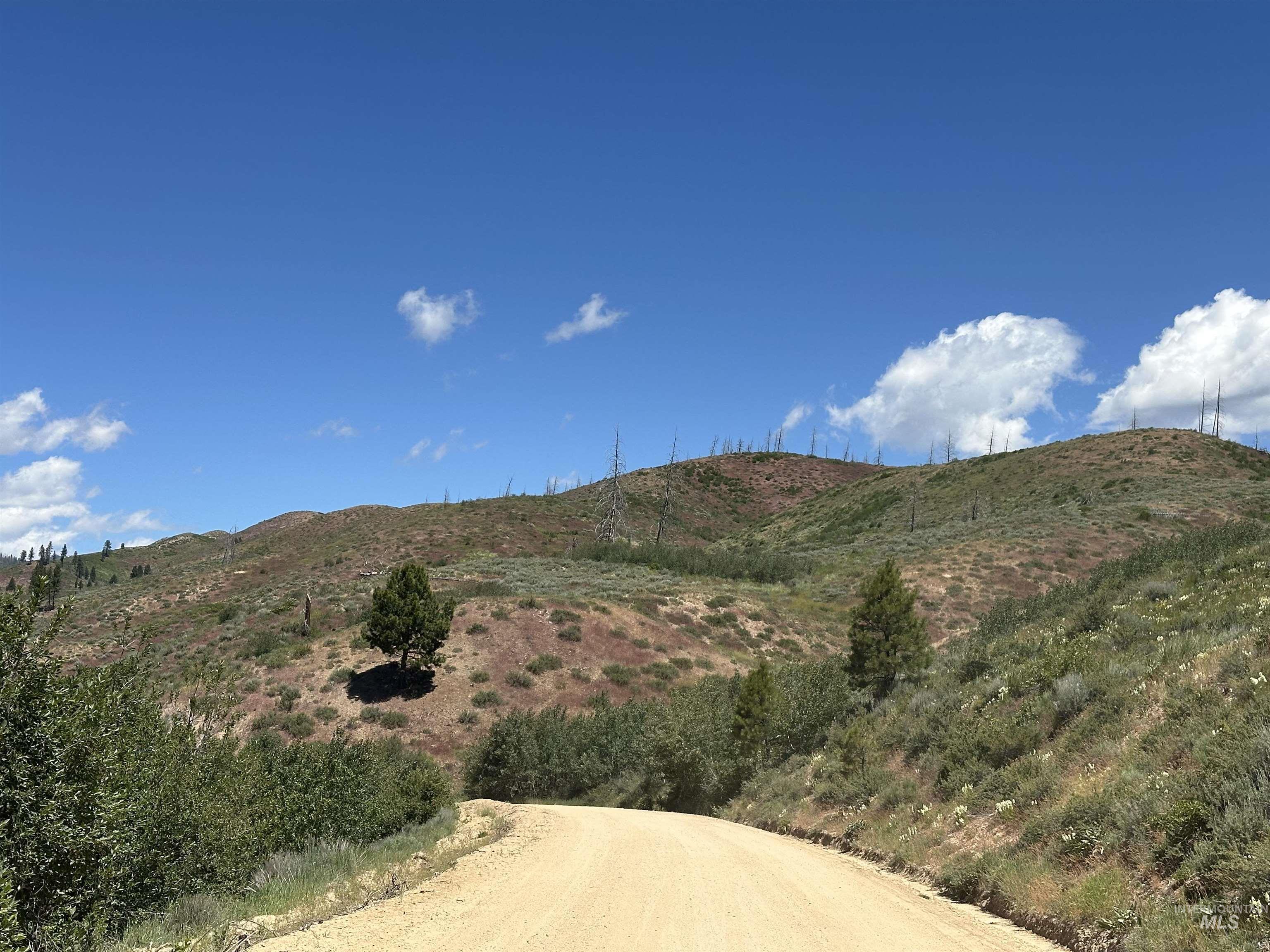 TBD Lester Creek Rd, Pine, Idaho 83647, Land For Sale, Price $595,000,MLS 98992750