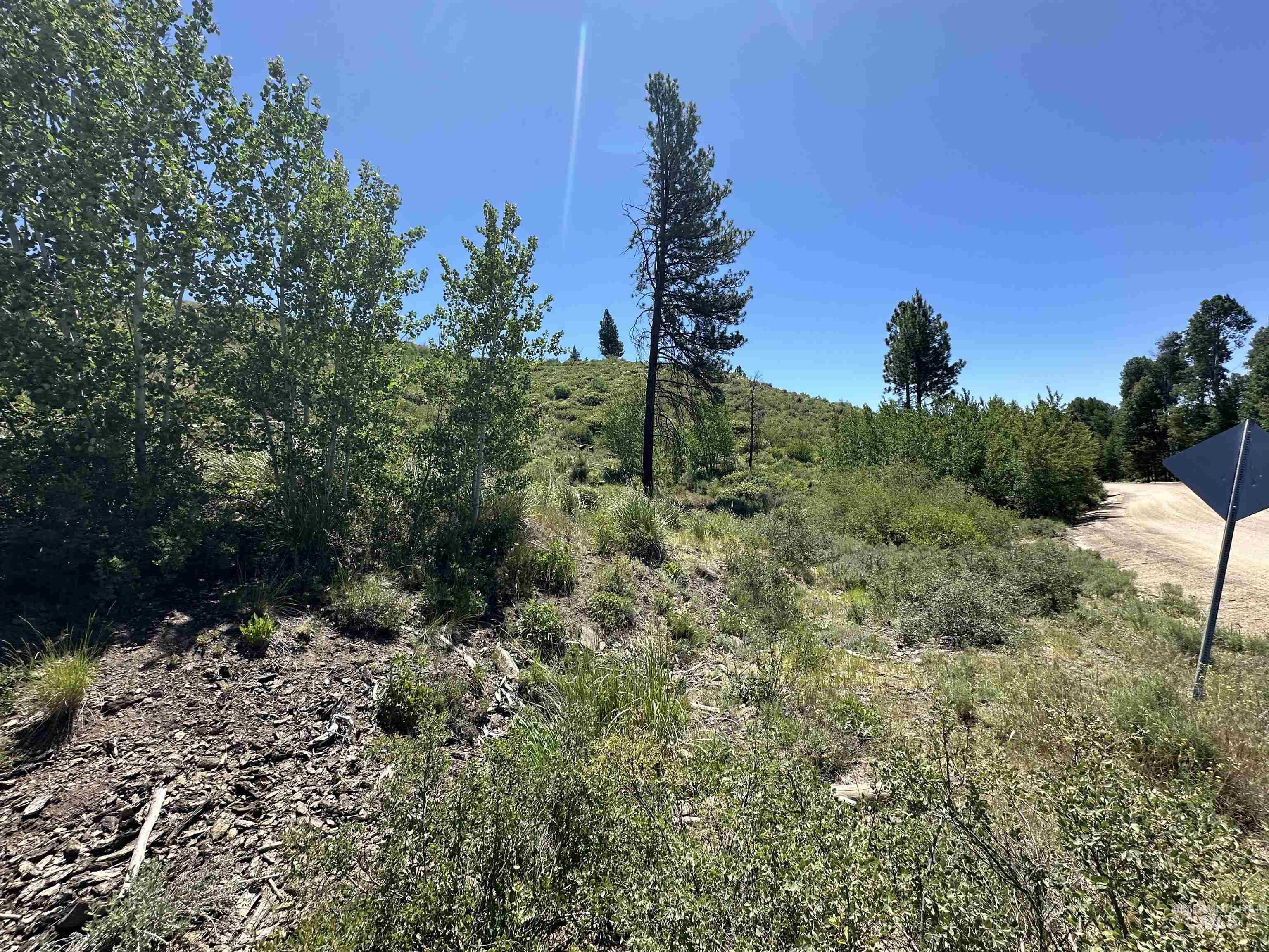 TBD Lester Creek Rd, Pine, Idaho 83647, Land For Sale, Price $595,000,MLS 98992750