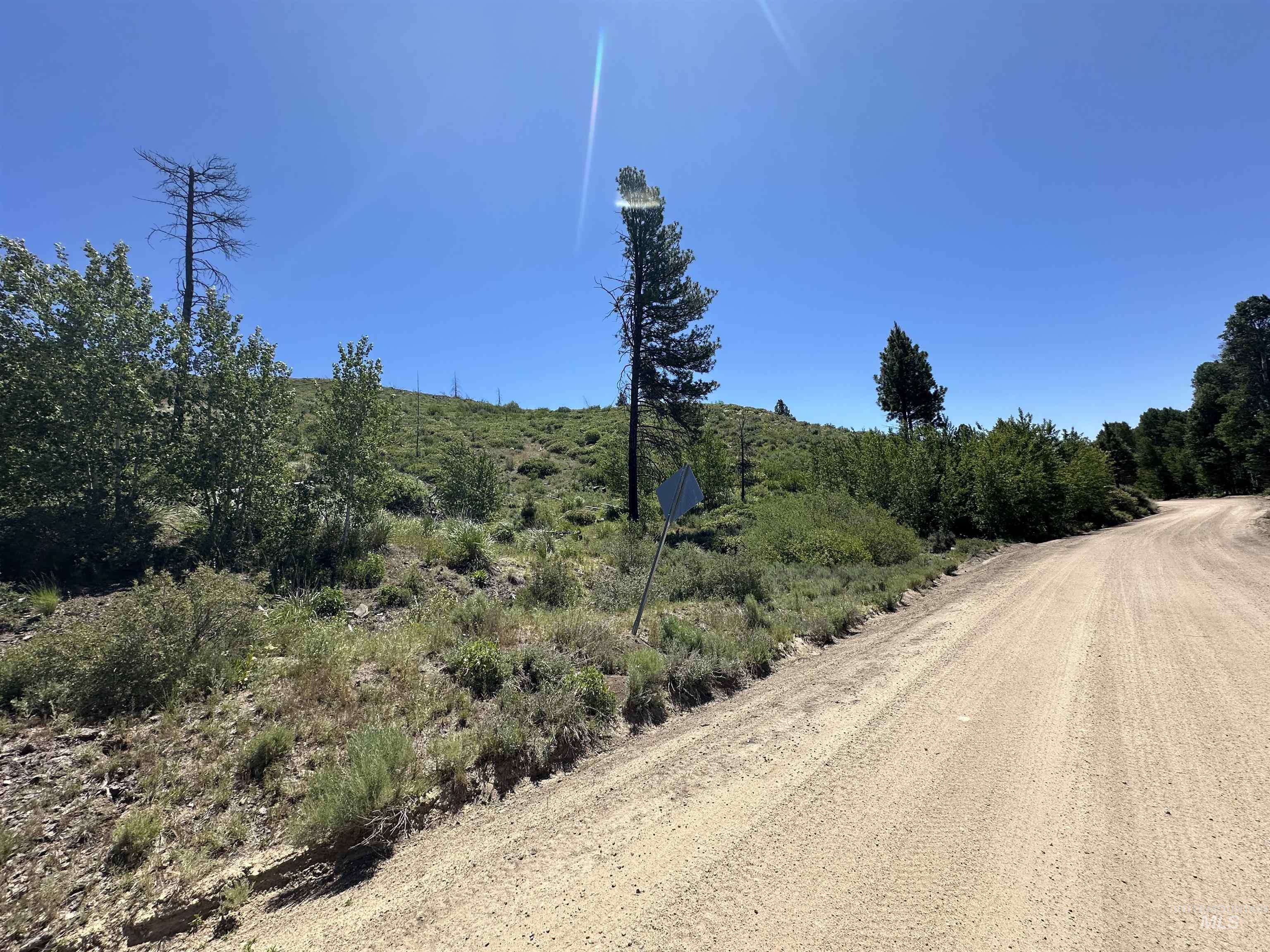TBD Lester Creek Rd, Pine, Idaho 83647, Land For Sale, Price $595,000,MLS 98992750