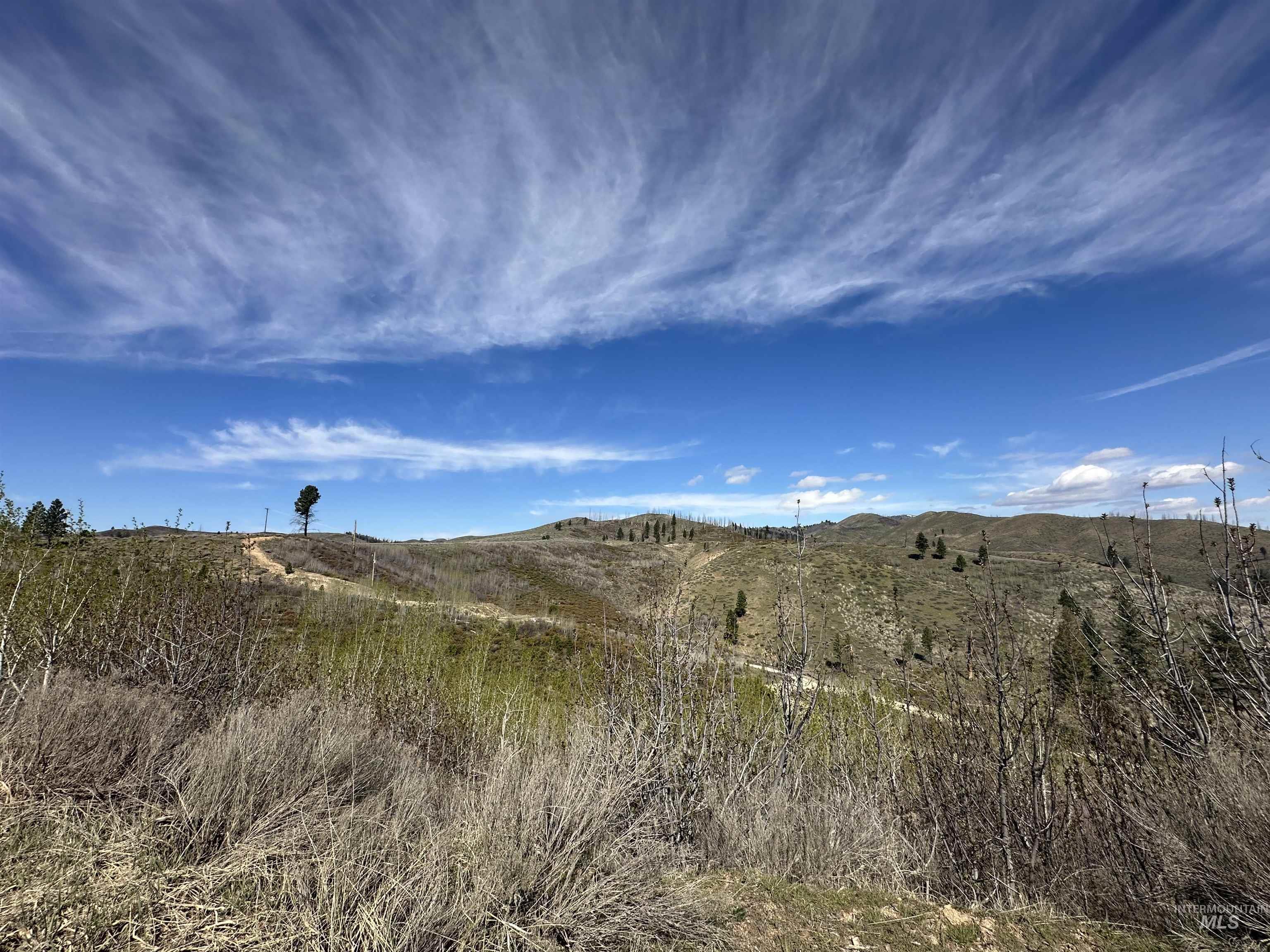 TBD Lester Creek Rd, Pine, Idaho 83647, Land For Sale, Price $595,000,MLS 98992750