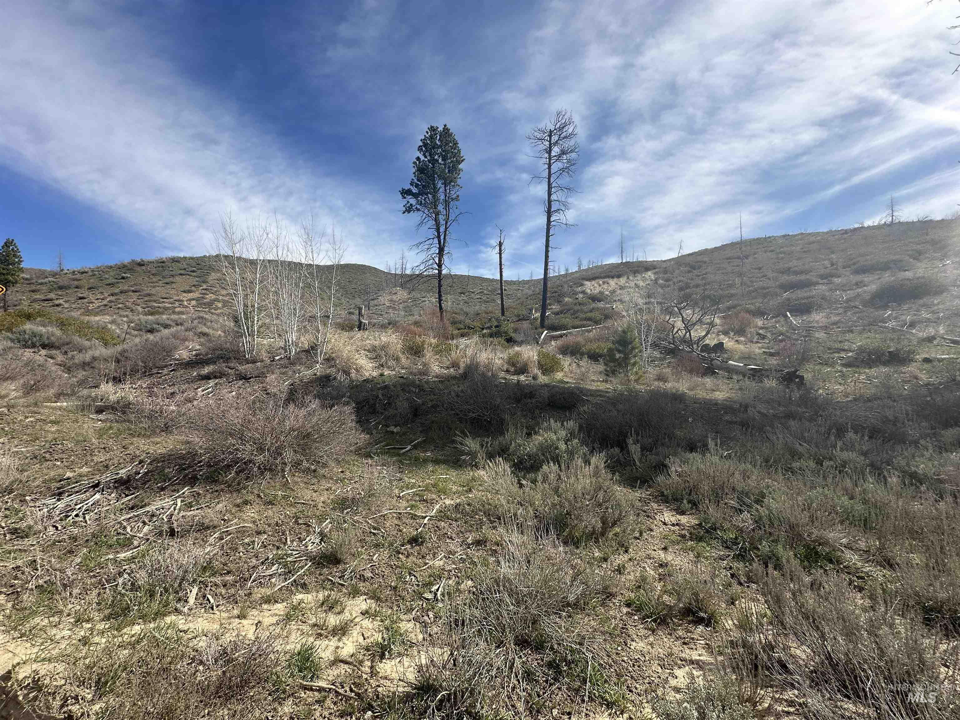 TBD Lester Creek Rd, Pine, Idaho 83647, Land For Sale, Price $595,000,MLS 98992750