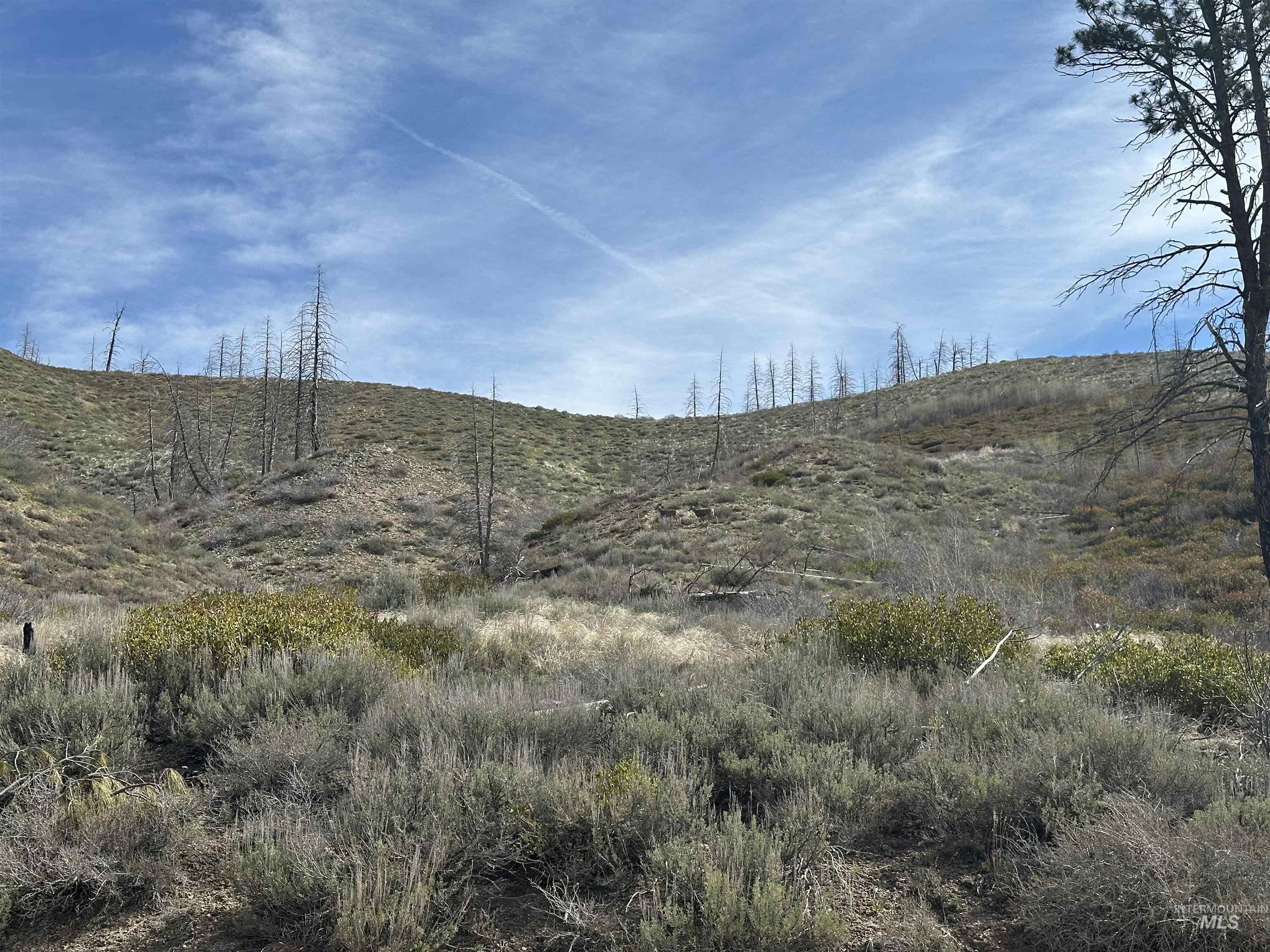 TBD Lester Creek Rd, Pine, Idaho 83647, Land For Sale, Price $595,000,MLS 98992750
