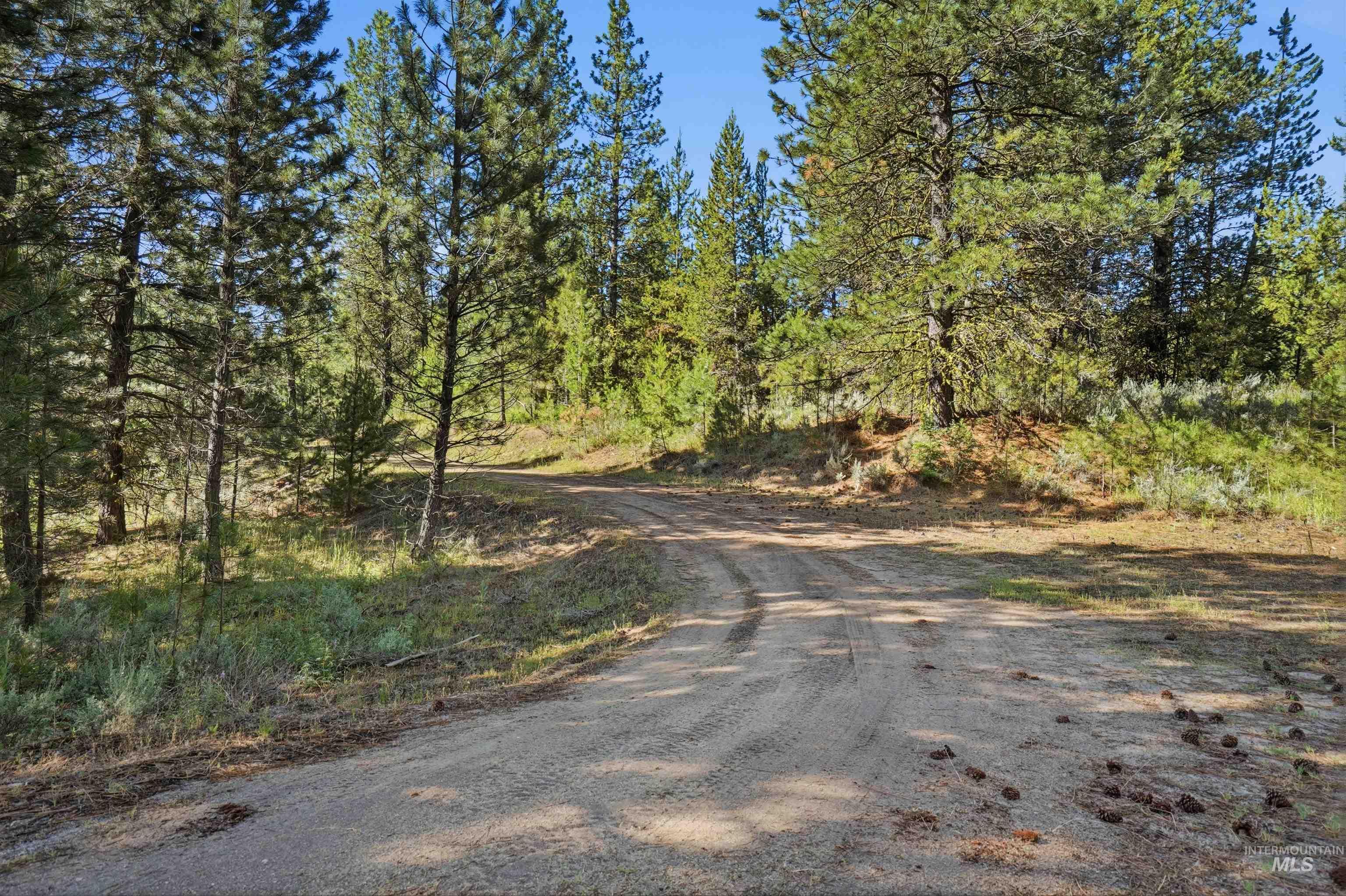 15 Coit Dr, Cascade, Idaho 83611-5527, Land For Sale, Price $259,900,MLS 98992751