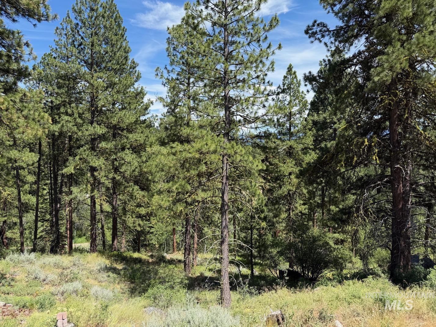 1224 Woodside Rd, Cascade, Idaho 83611, 3 Bedrooms, 2 Bathrooms, Residential For Sale, Price $499,000, 98992752