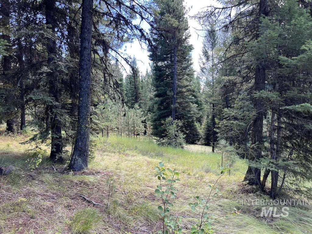 #5 Whitefield Lane, McCall, Idaho 83638, Land For Sale, Price $265,000,MLS 98992780