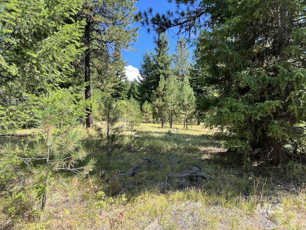 #5 Whitefield Lane, McCall, Idaho 83638, Land For Sale, Price $265,000,MLS 98992780