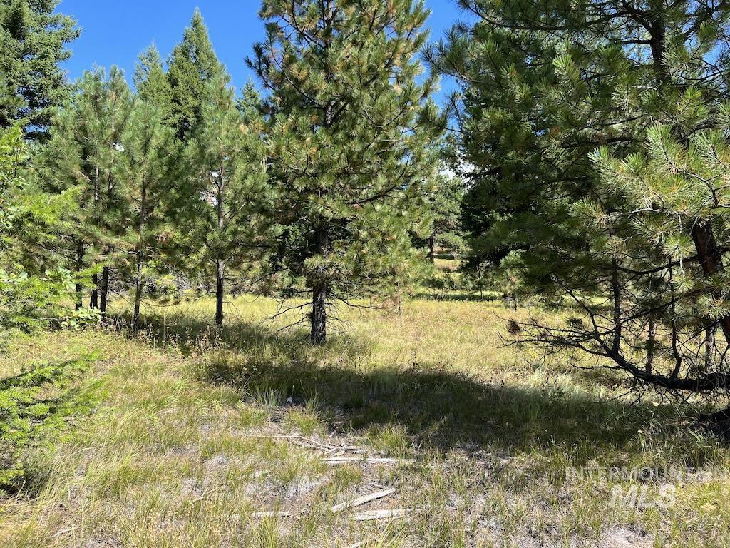 #5 Whitefield Lane, McCall, Idaho 83638, Land For Sale, Price $265,000,MLS 98992780