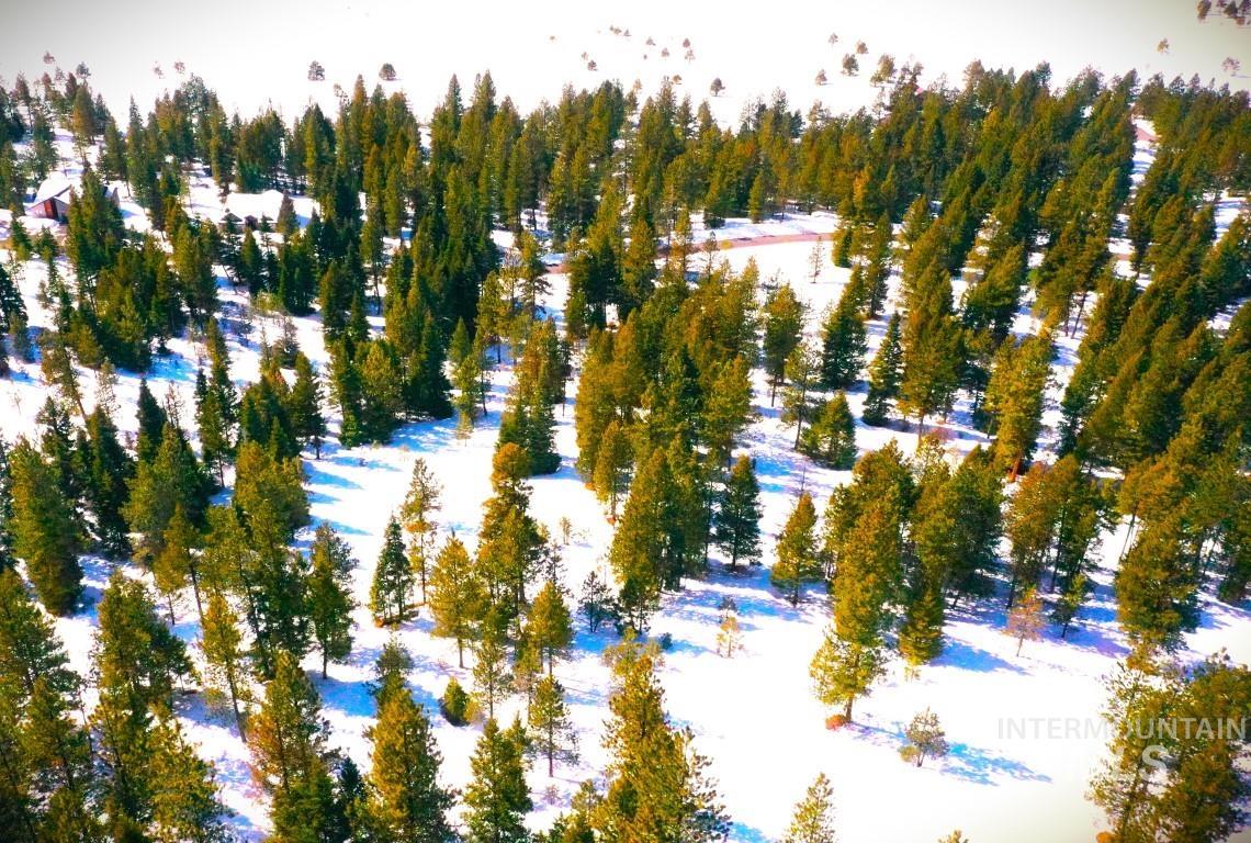 #5 Whitefield Lane, McCall, Idaho 83638, Land For Sale, Price $265,000,MLS 98992780