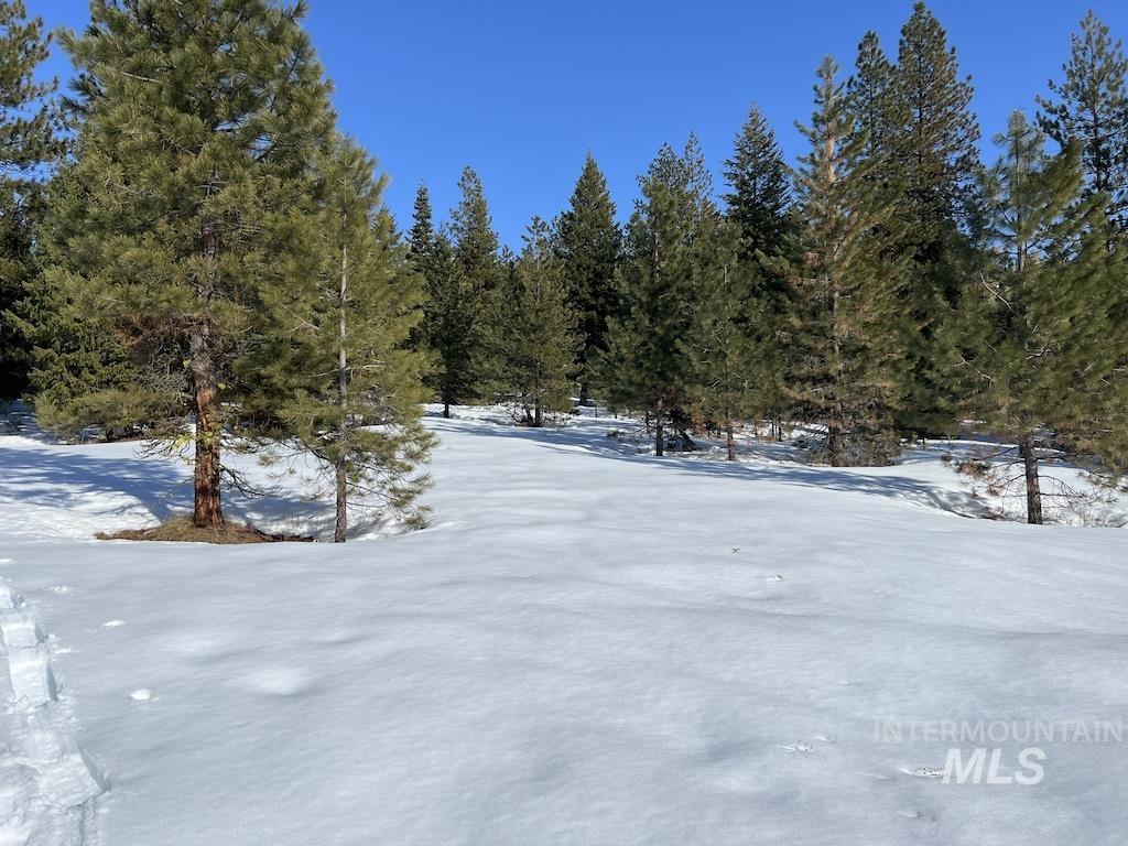 #5 Whitefield Lane, McCall, Idaho 83638, Land For Sale, Price $265,000,MLS 98992780