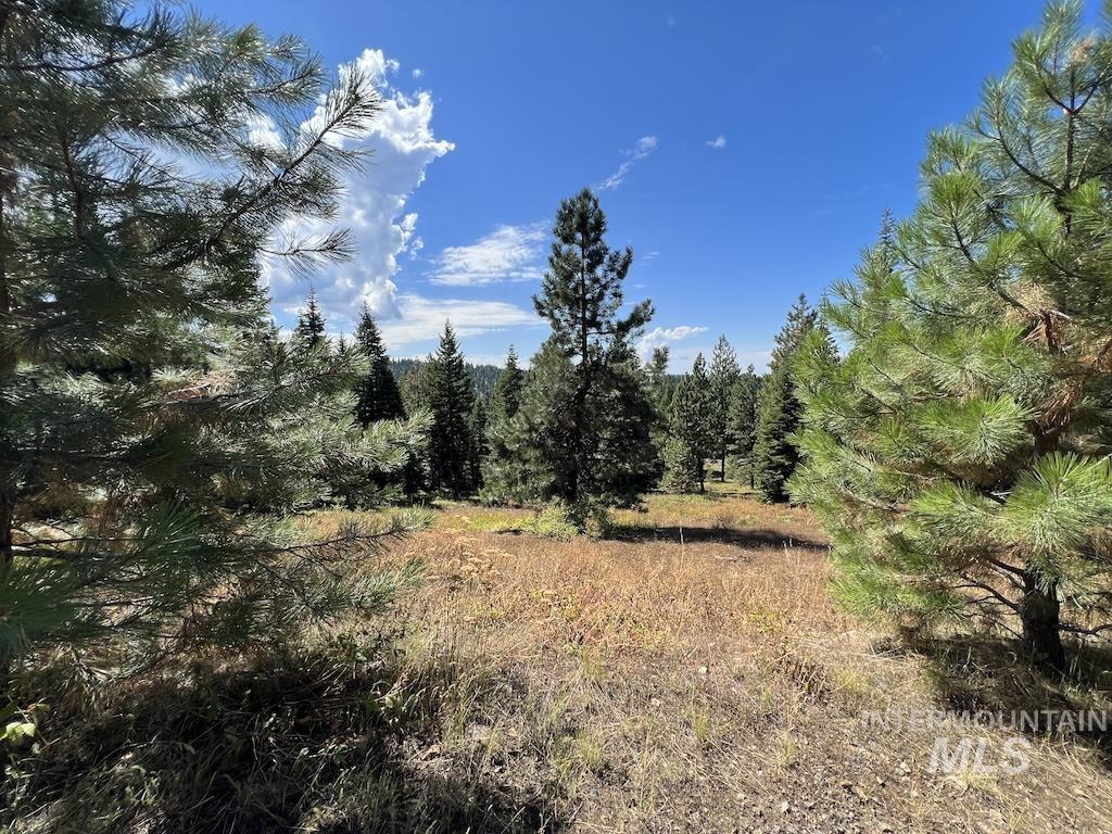 #5 Whitefield Lane, McCall, Idaho 83638, Land For Sale, Price $265,000,MLS 98992780