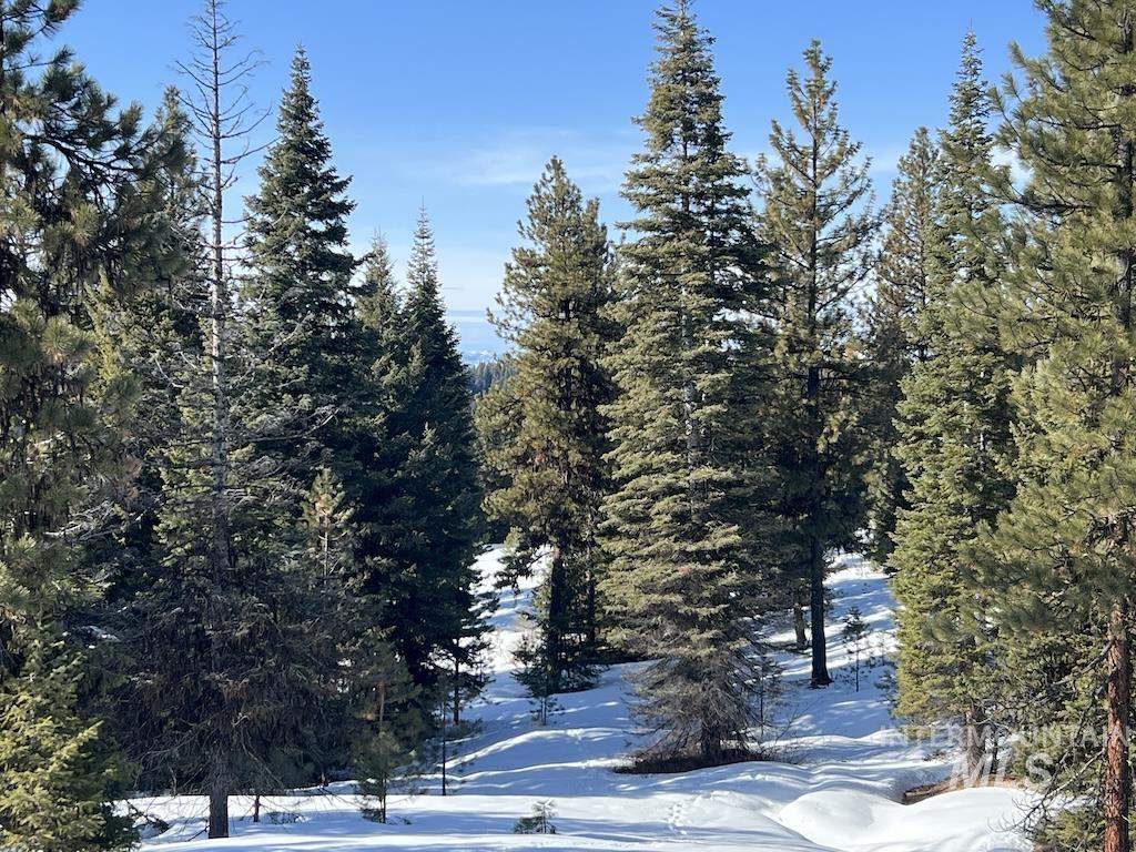 #5 Whitefield Lane, McCall, Idaho 83638, Land For Sale, Price $265,000,MLS 98992780