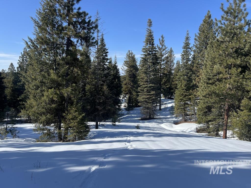 #5 Whitefield Lane, McCall, Idaho 83638, Land For Sale, Price $265,000,MLS 98992780