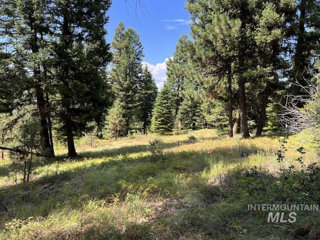 #5 Whitefield Lane, McCall, Idaho 83638, Land For Sale, Price $265,000,MLS 98992780