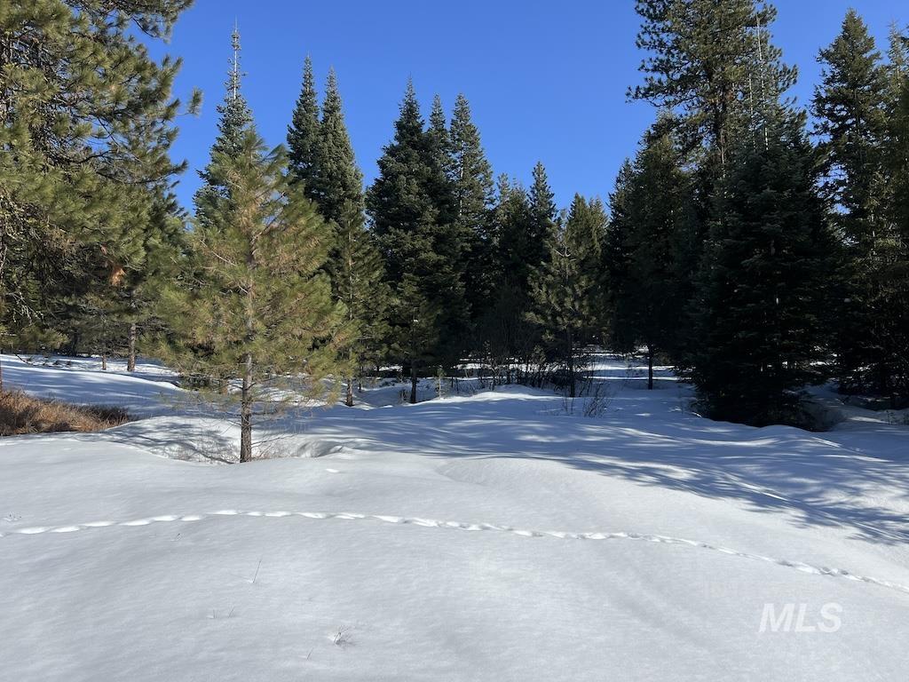 #5 Whitefield Lane, McCall, Idaho 83638, Land For Sale, Price $265,000,MLS 98992780