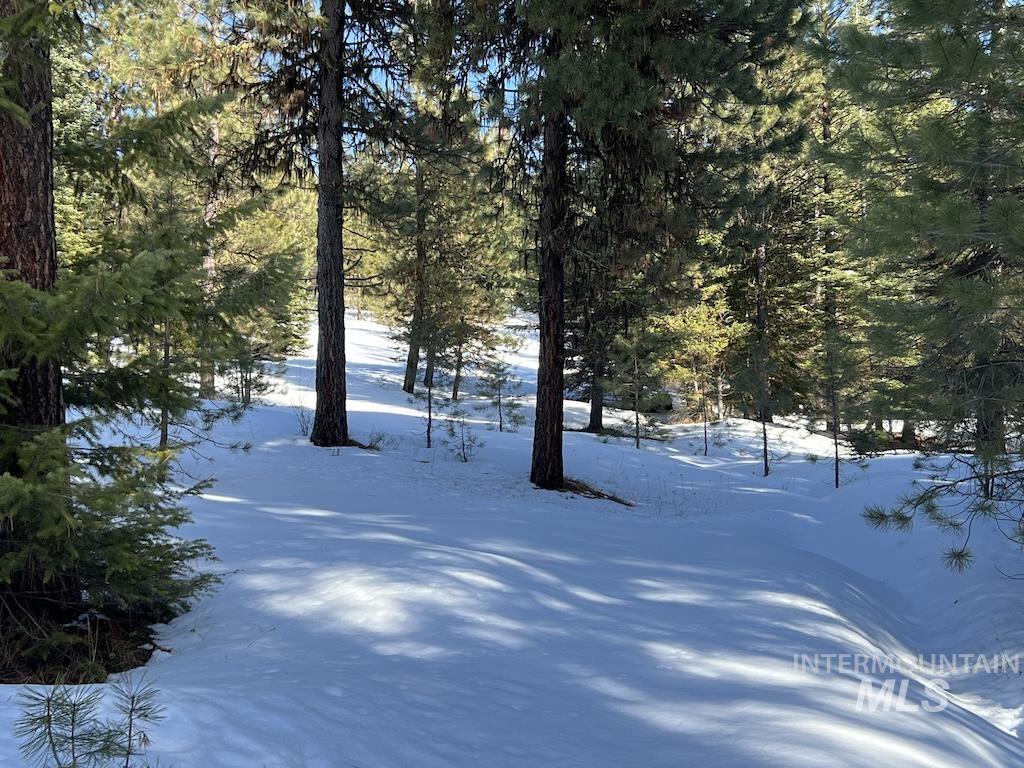 #7 Whitefield Lane, McCall, Idaho 83638, Land For Sale, Price $250,000,MLS 98992781