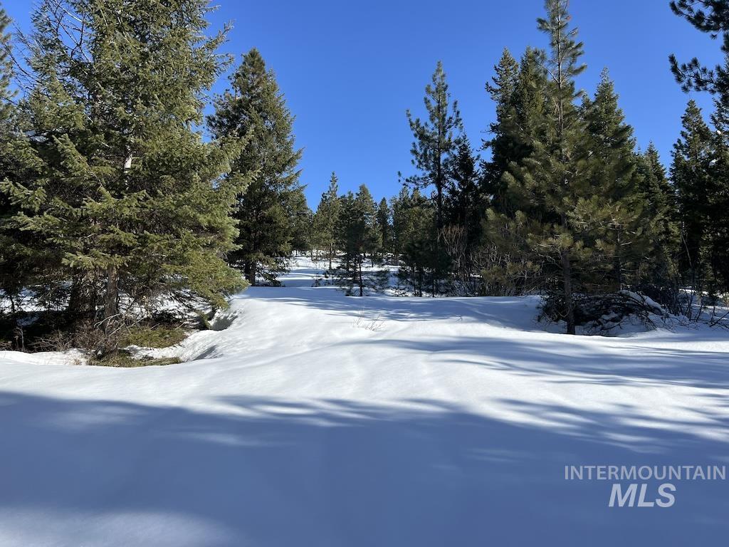 #7 Whitefield Lane, McCall, Idaho 83638, Land For Sale, Price $250,000,MLS 98992781