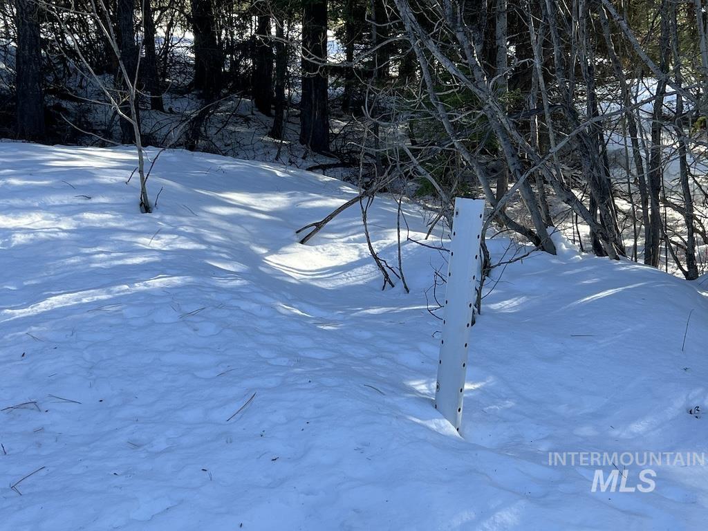 #7 Whitefield Lane, McCall, Idaho 83638, Land For Sale, Price $250,000,MLS 98992781
