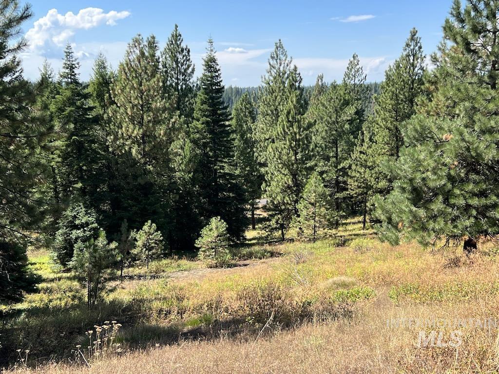 #7 Whitefield Lane, McCall, Idaho 83638, Land For Sale, Price $250,000,MLS 98992781