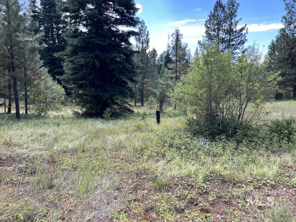 #7 Whitefield Lane, McCall, Idaho 83638, Land For Sale, Price $250,000,MLS 98992781