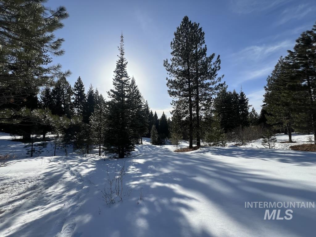 #7 Whitefield Lane, McCall, Idaho 83638, Land For Sale, Price $250,000,MLS 98992781