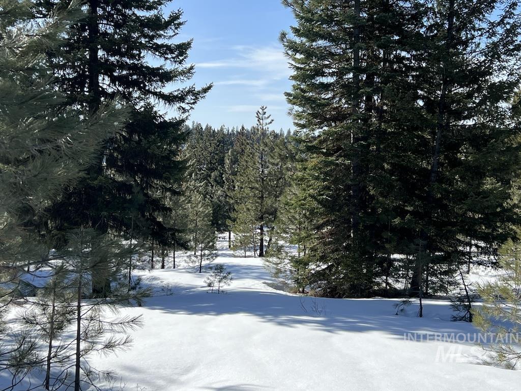 #8 Whitefield Lane, McCall, Idaho 83638, Land For Sale, Price $225,000,MLS 98992782