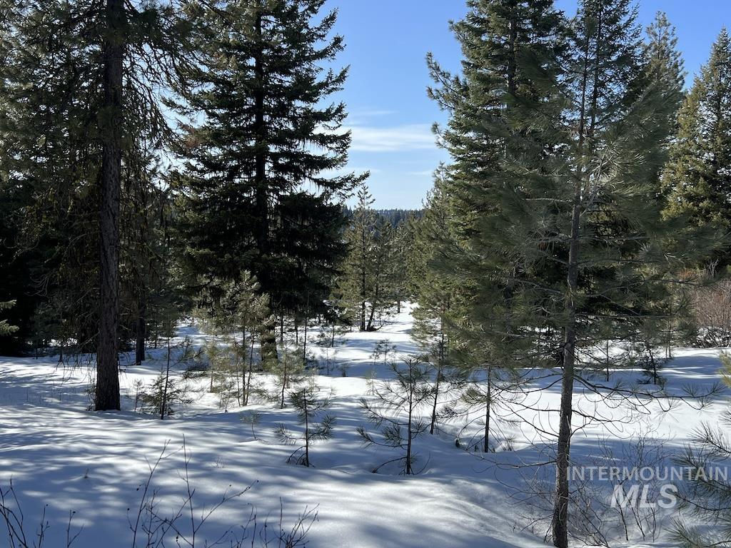 #8 Whitefield Lane, McCall, Idaho 83638, Land For Sale, Price $225,000,MLS 98992782
