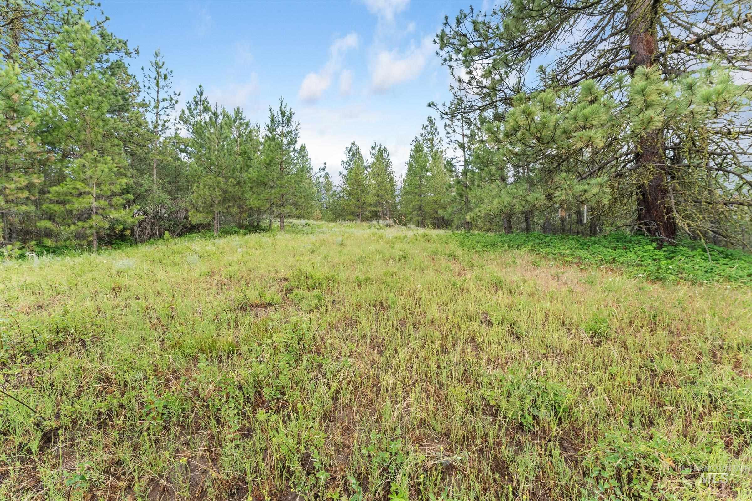 TBD Sunset Trail, Banks, Idaho 83602, Land For Sale, Price $226,500,MLS 98992788